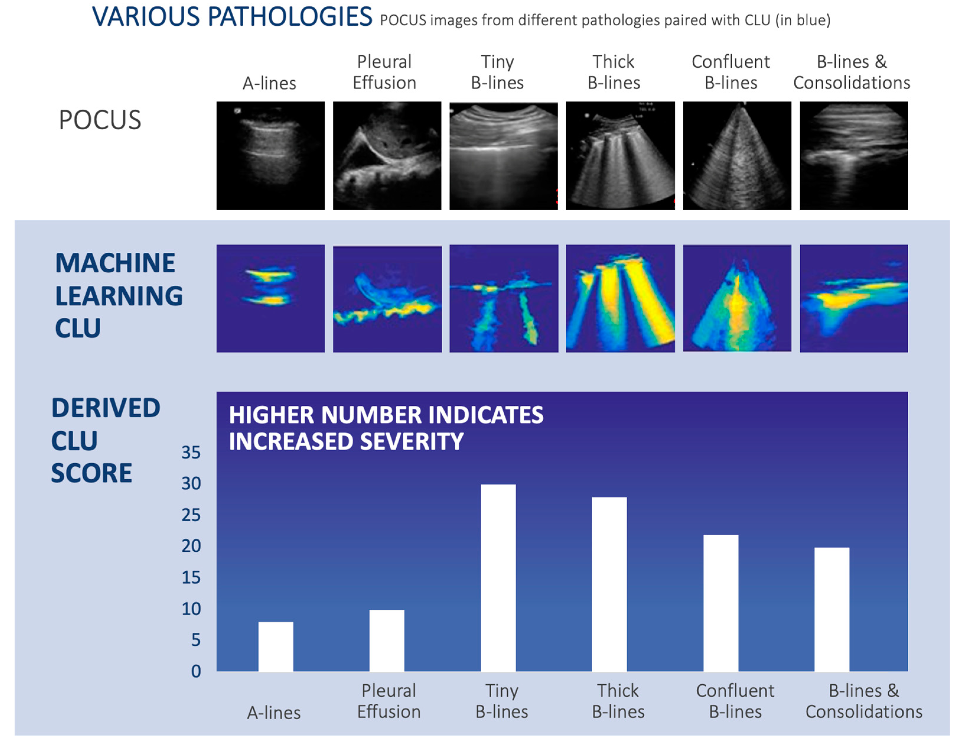 Diagnostics 13 02692 g003