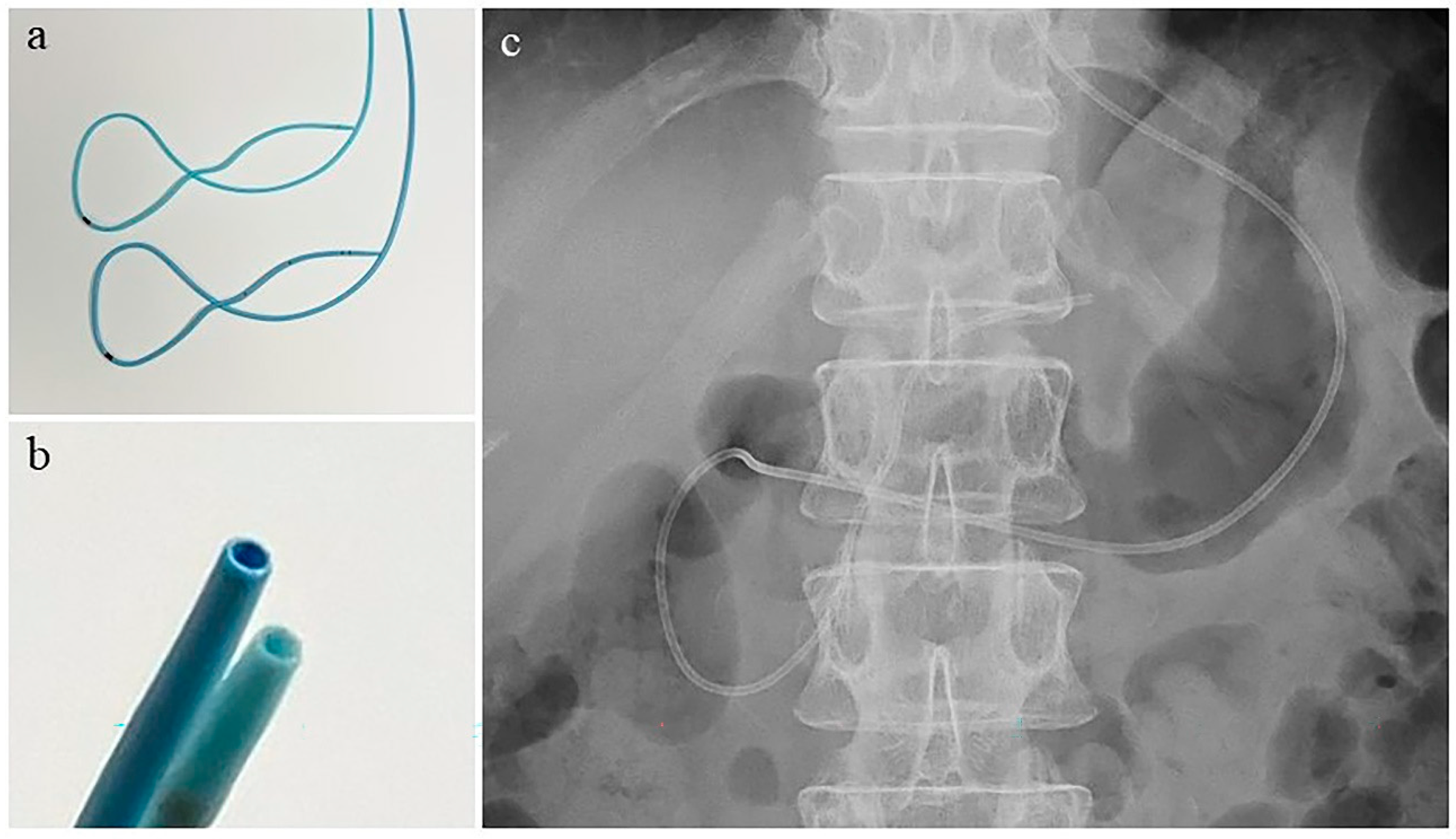 Diagnostics 13 02696 g001