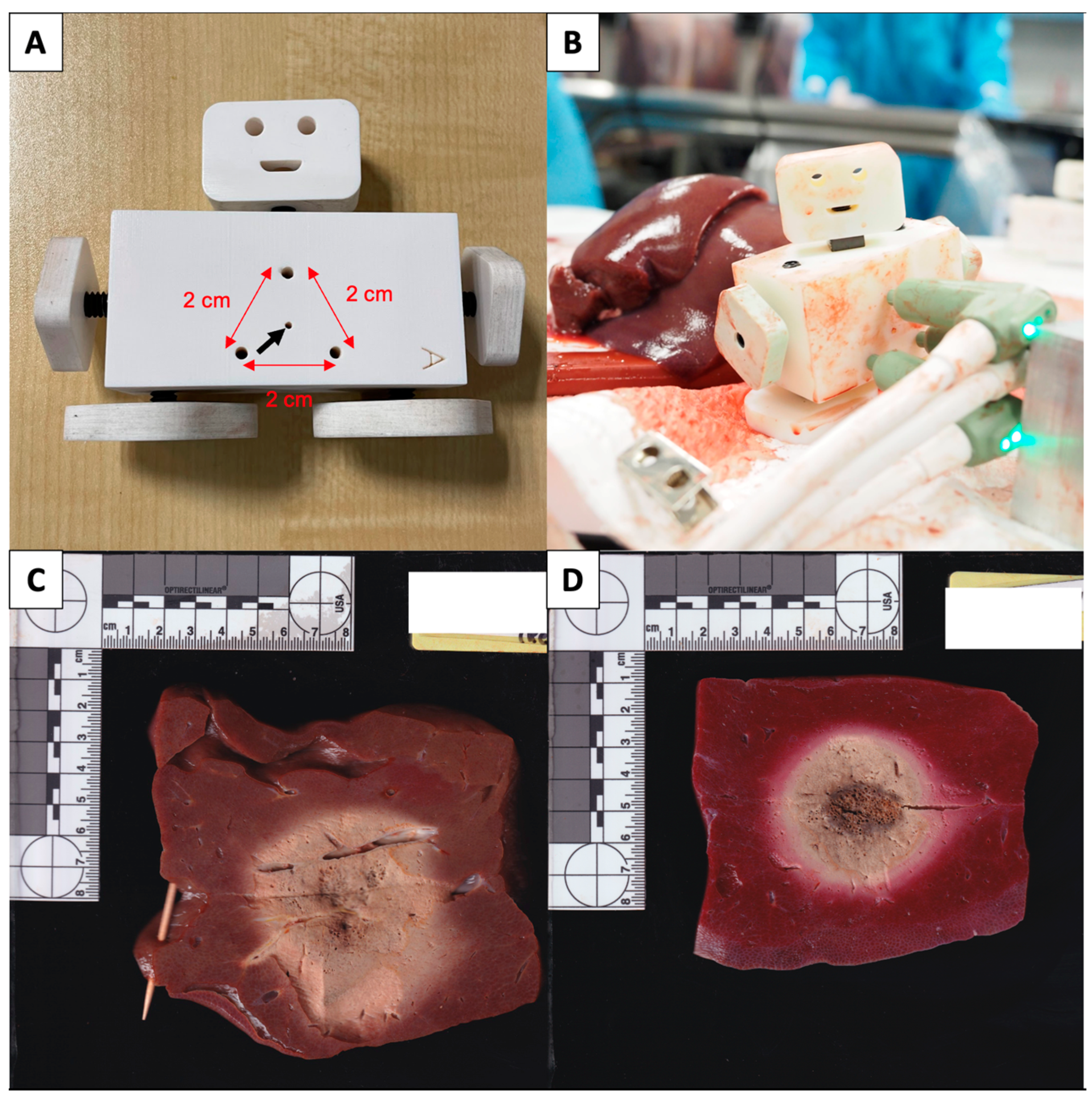 Diagnostics 13 02702 g001