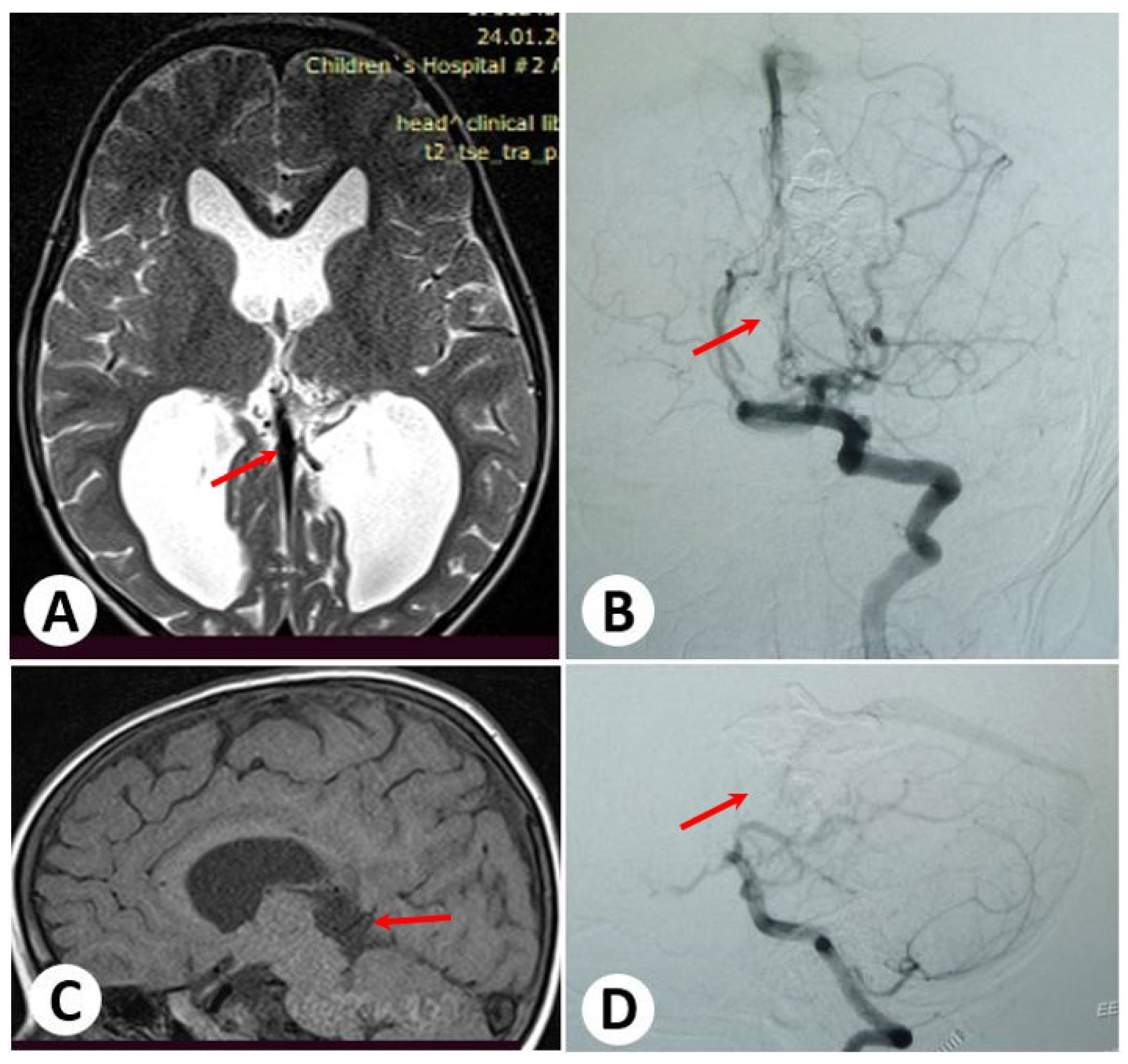 Diagnostics 13 02704 g002