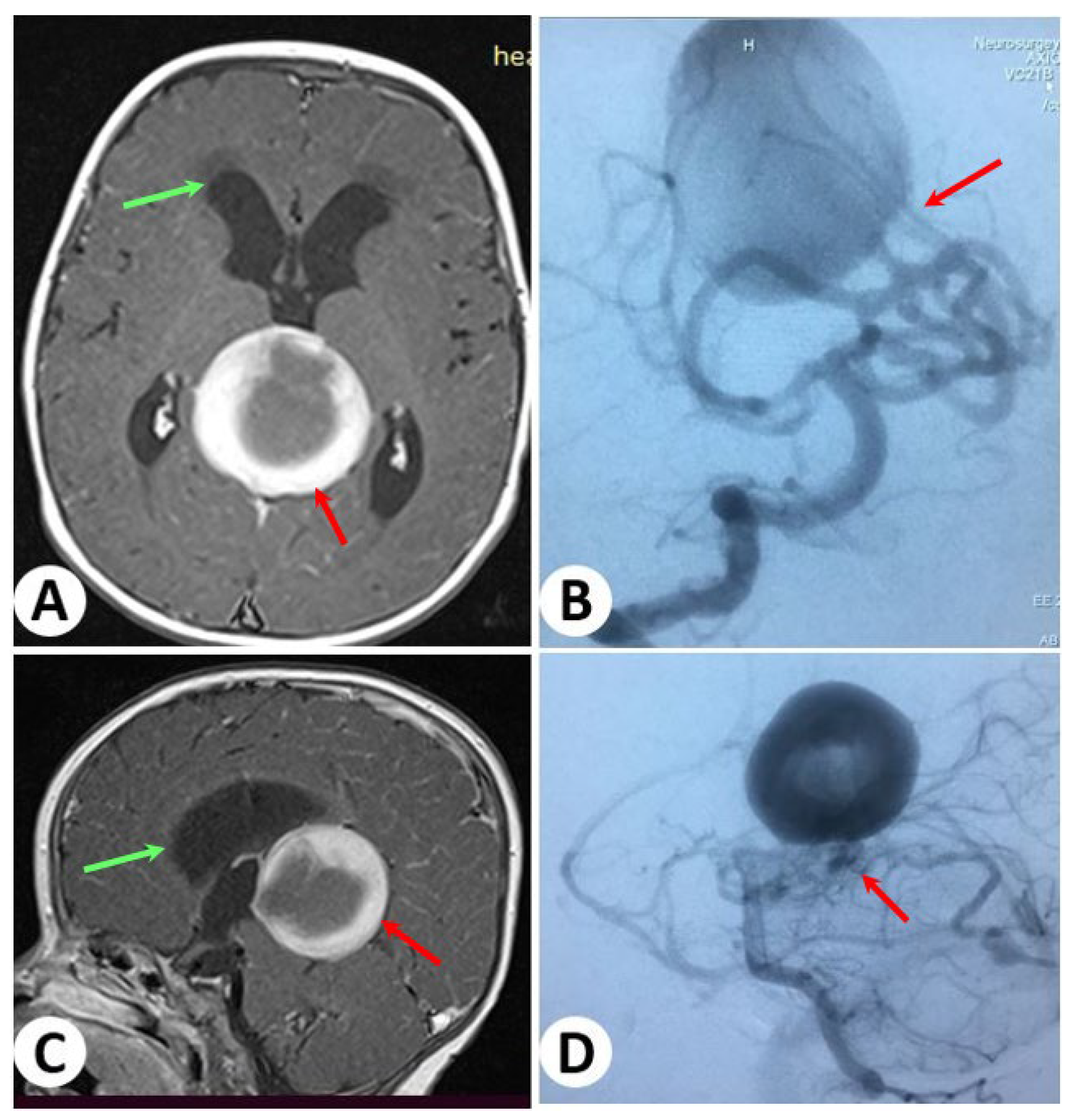 Diagnostics 13 02704 g003