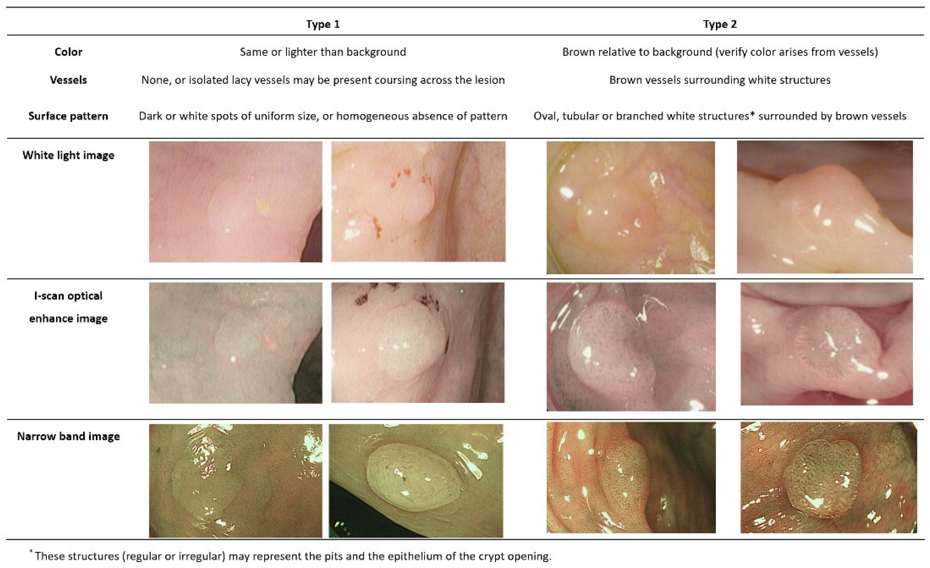 Diagnostics 13 02720 g001
