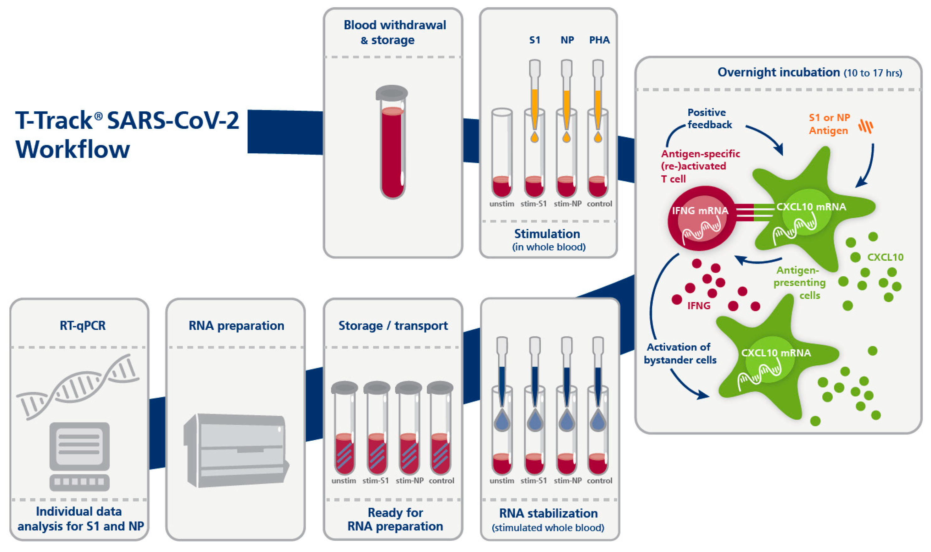 Diagnostics 13 02722 g001