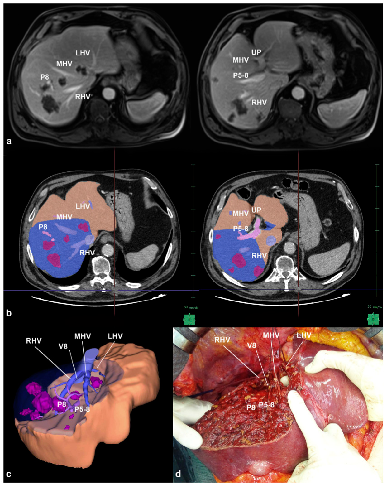 Diagnostics 13 02726 g001