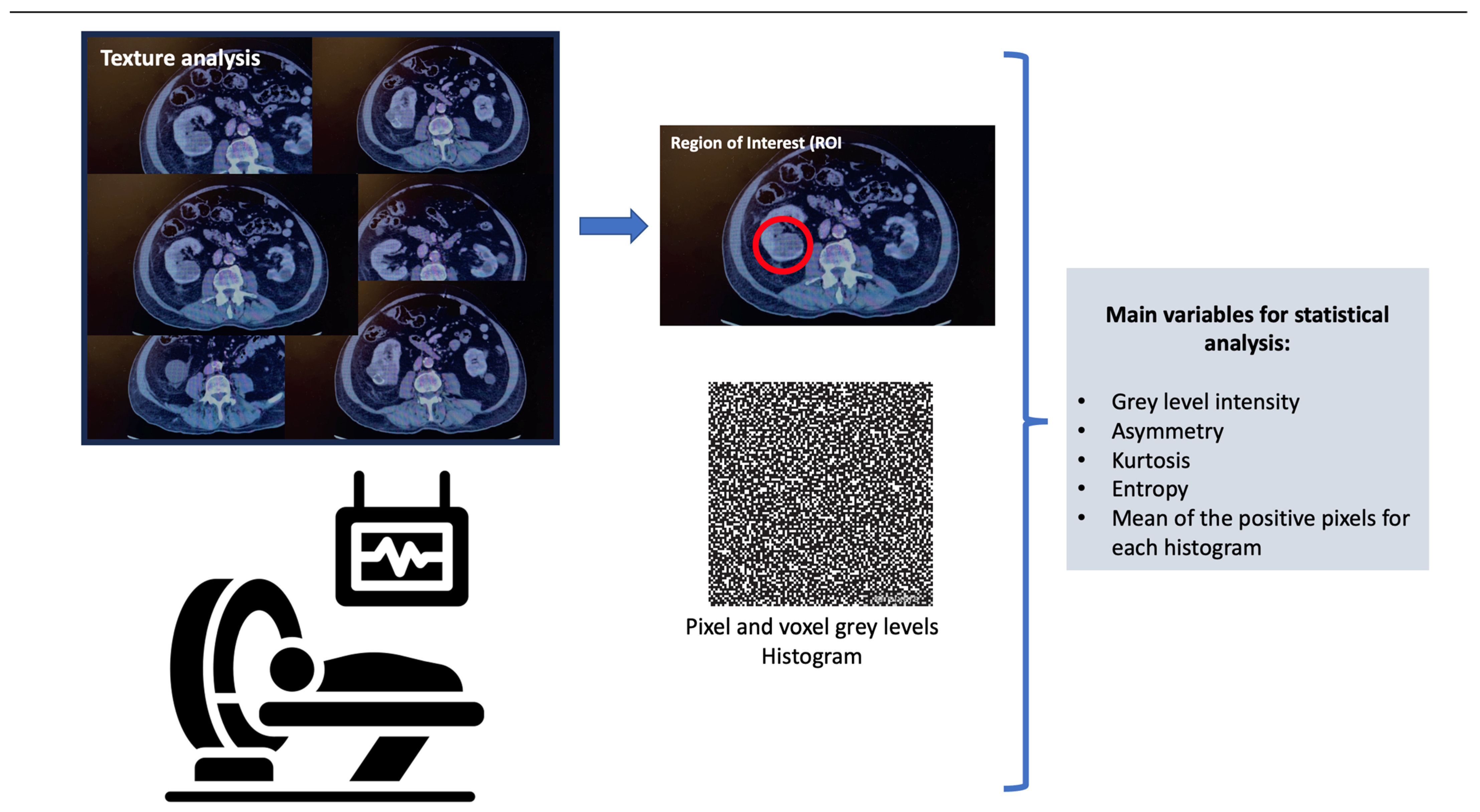 Diagnostics 13 02743 g001