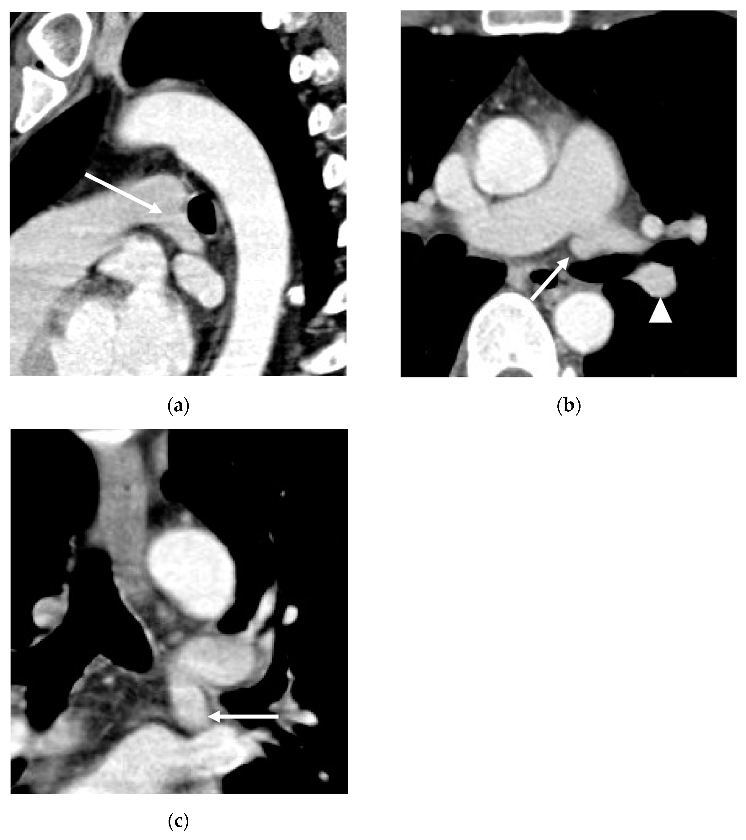 Diagnostics 13 02744 g001