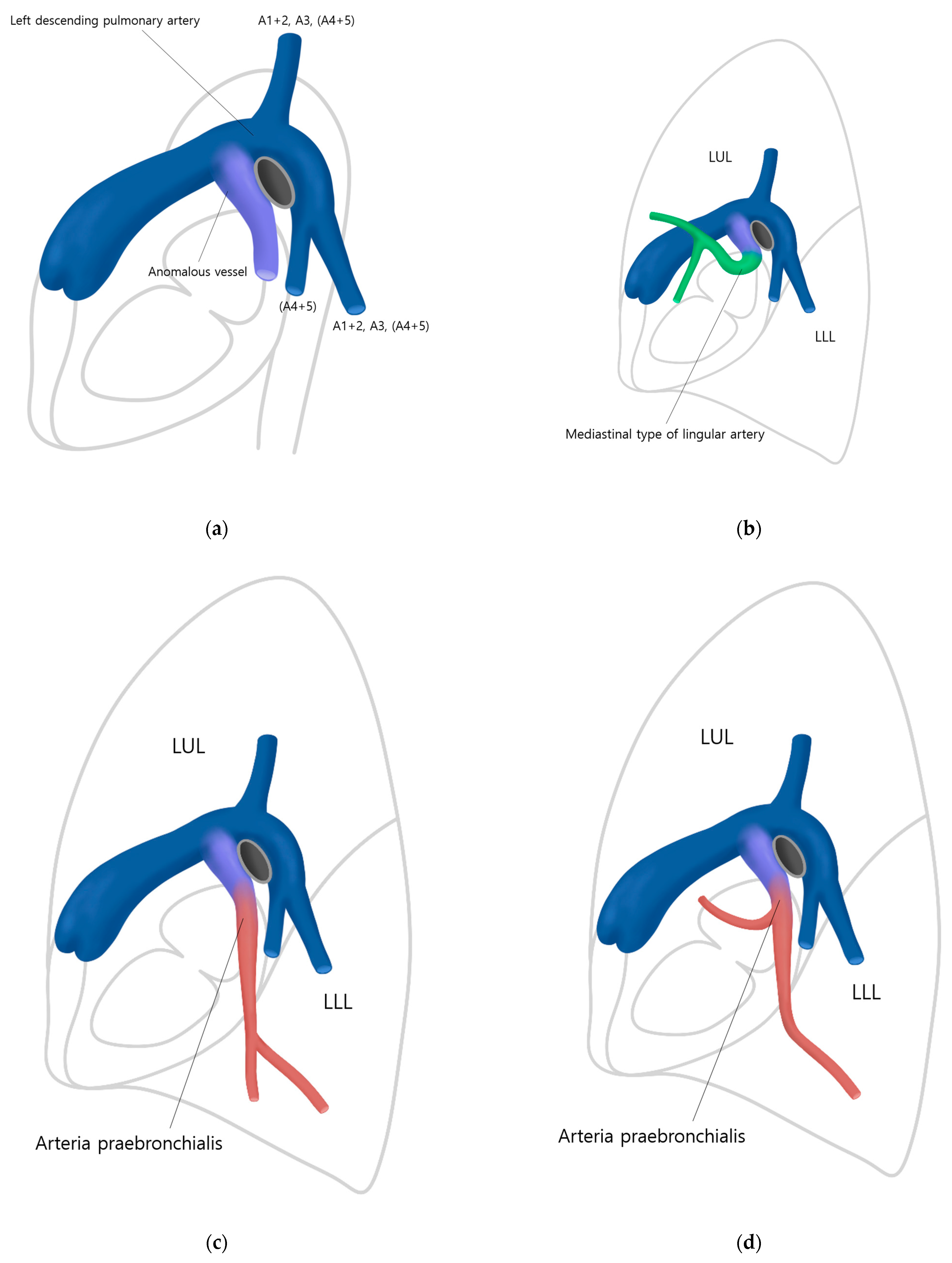 Diagnostics 13 02744 g005a