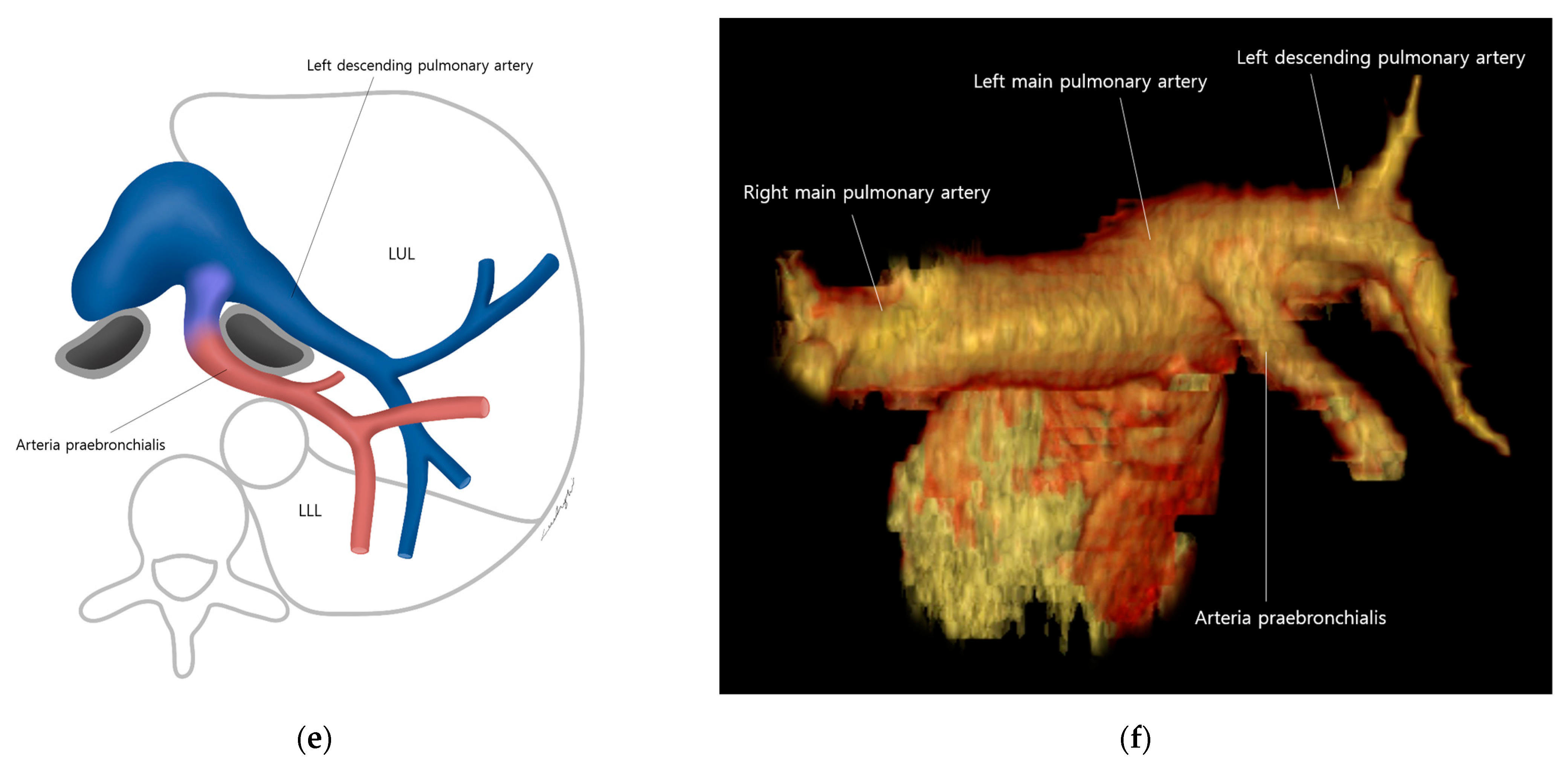 Diagnostics 13 02744 g005b