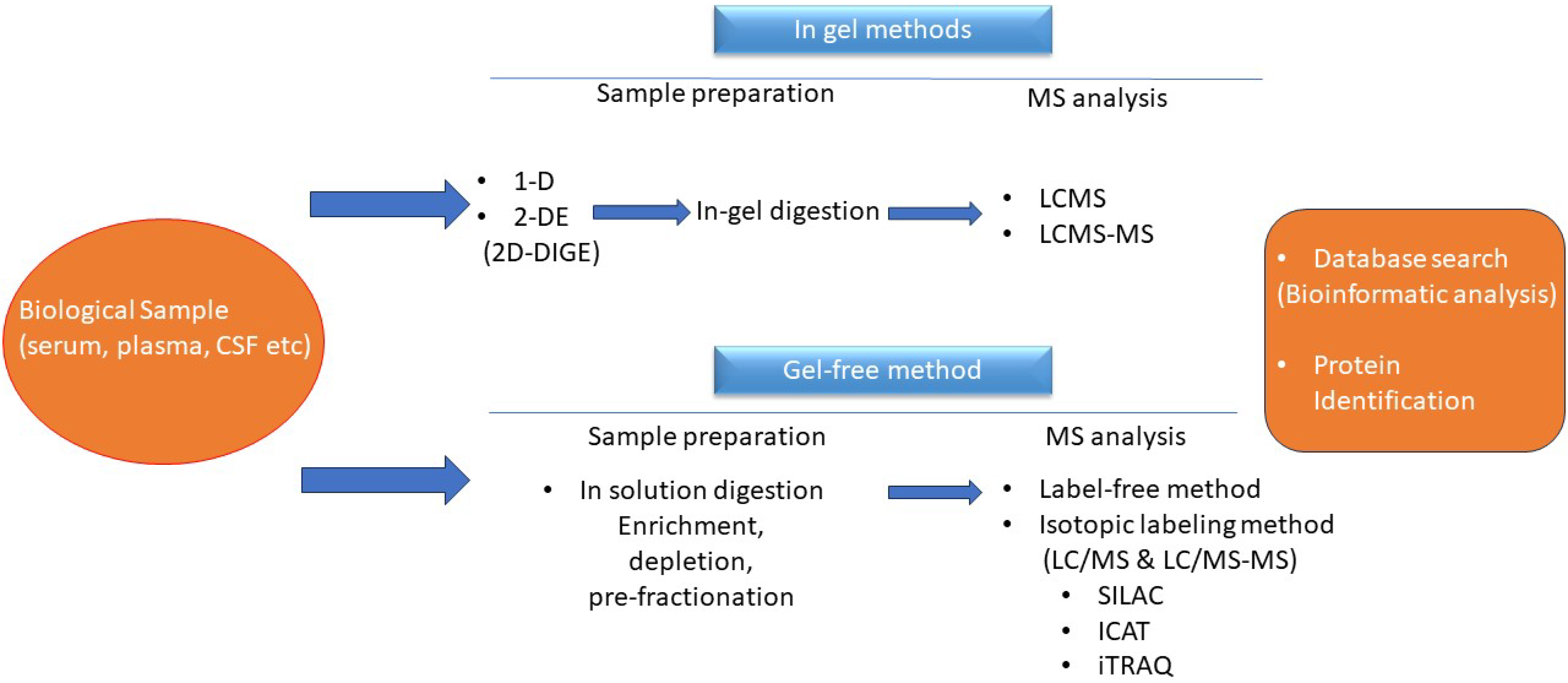 Diagnostics 13 02748 g001