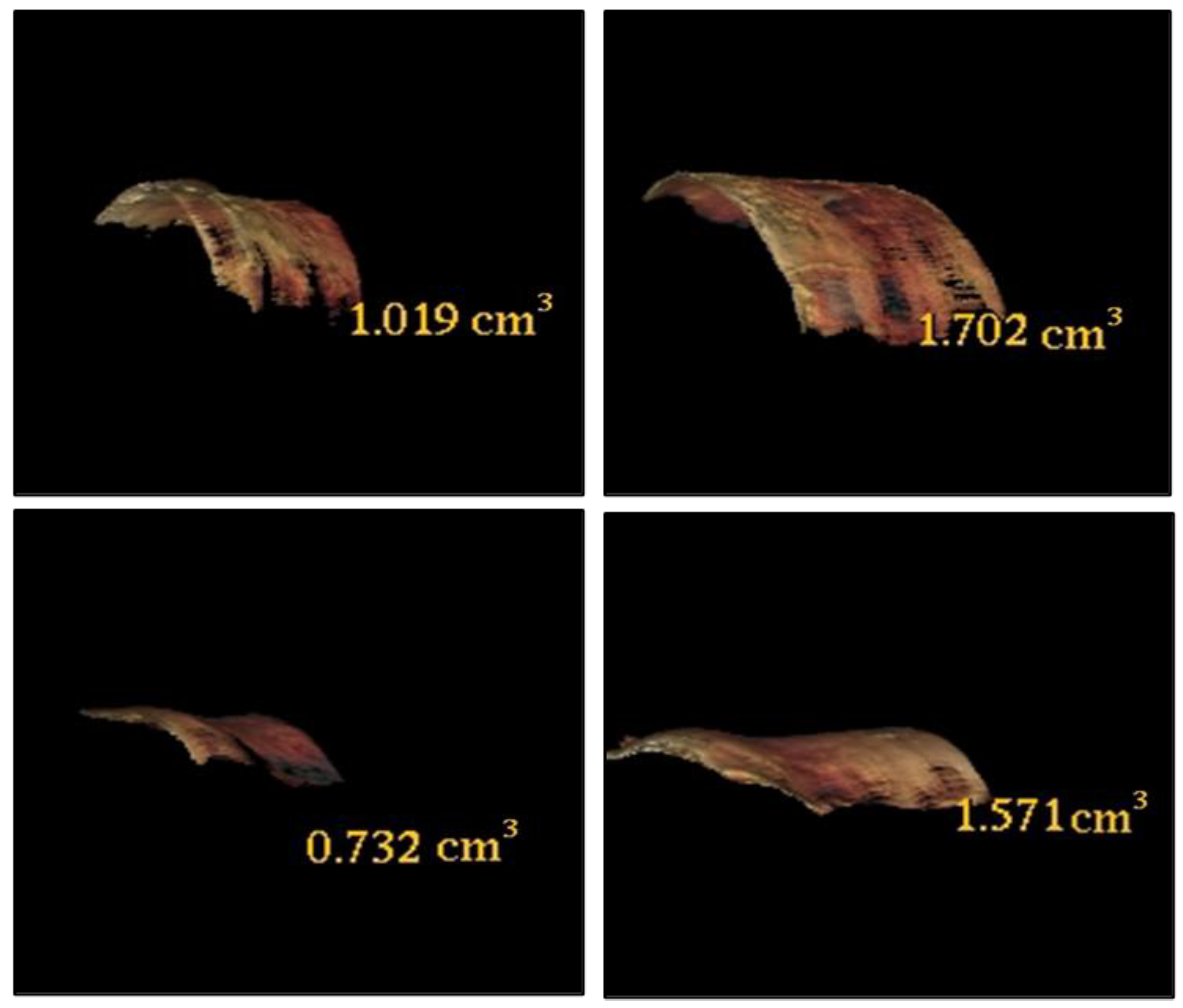Diagnostics 13 02750 g0a5