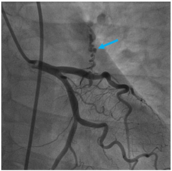 Diagnostics 13 02751 g001