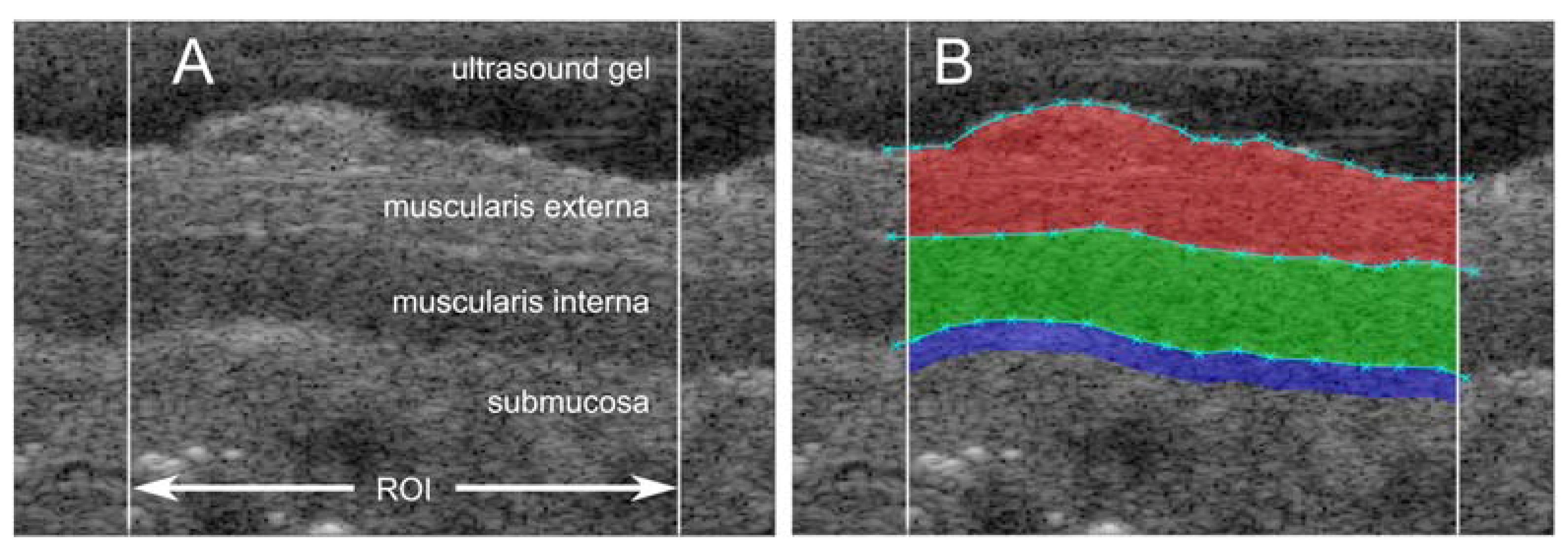 Diagnostics 13 02759 g002