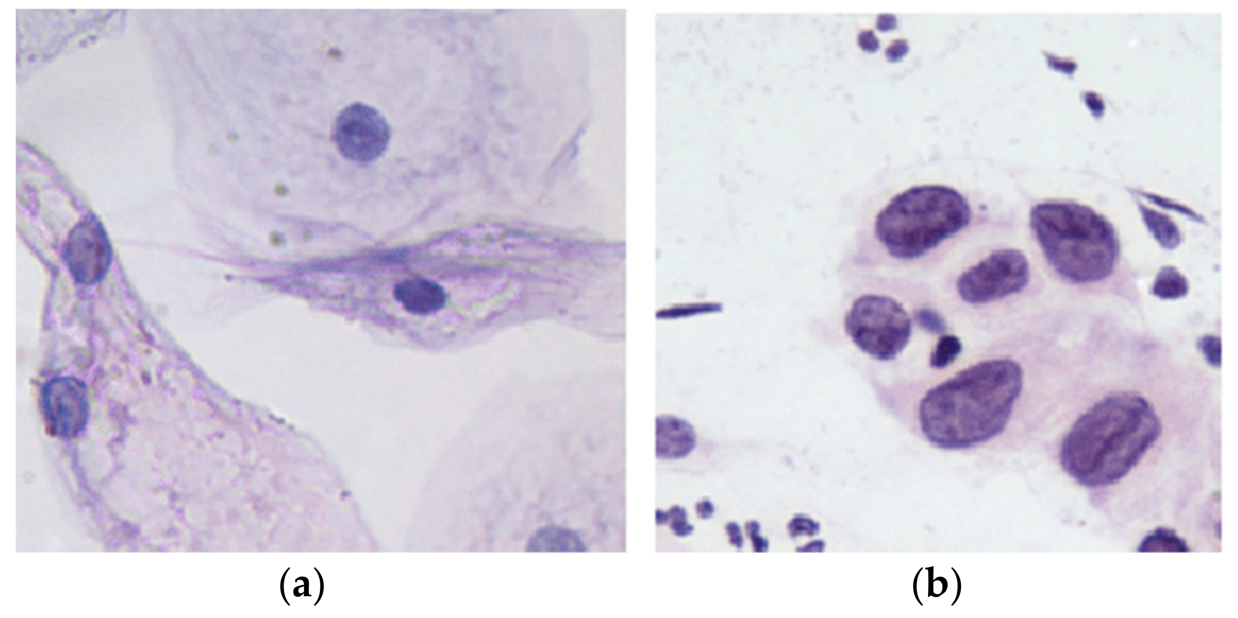 Diagnostics 13 02762 g001
