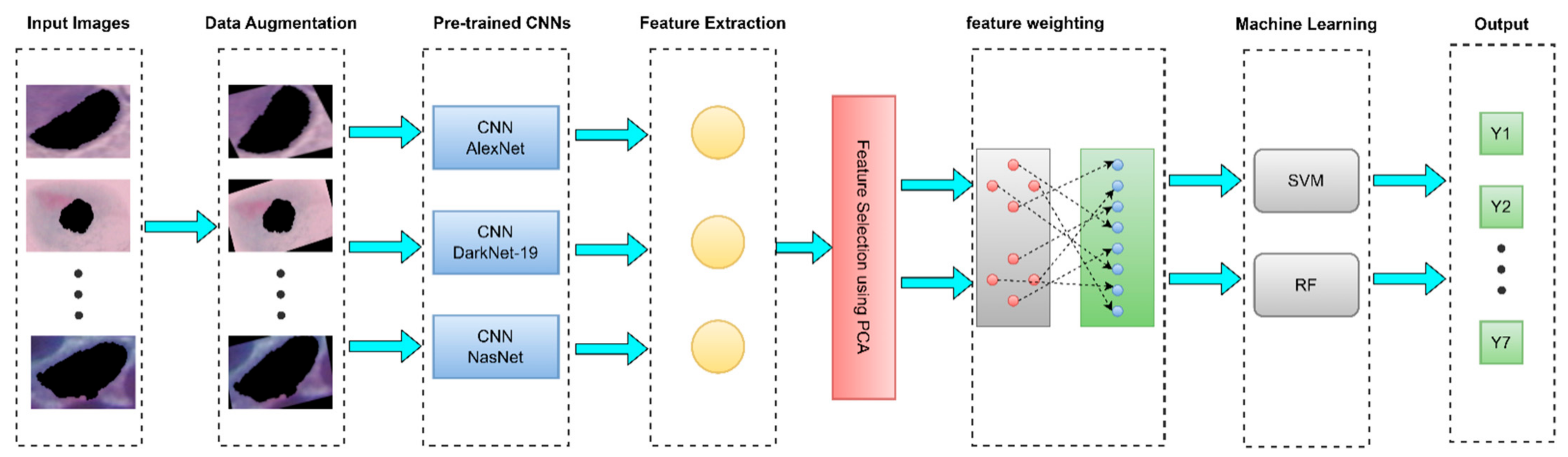 Diagnostics 13 02762 g002