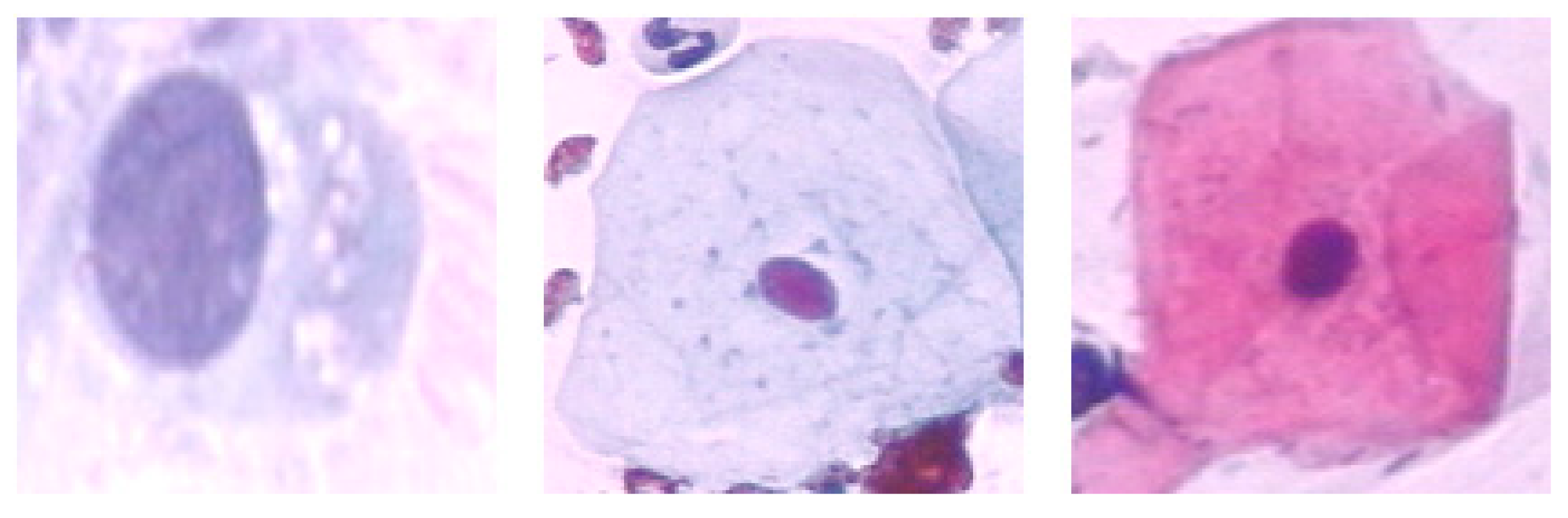 Diagnostics 13 02762 g003