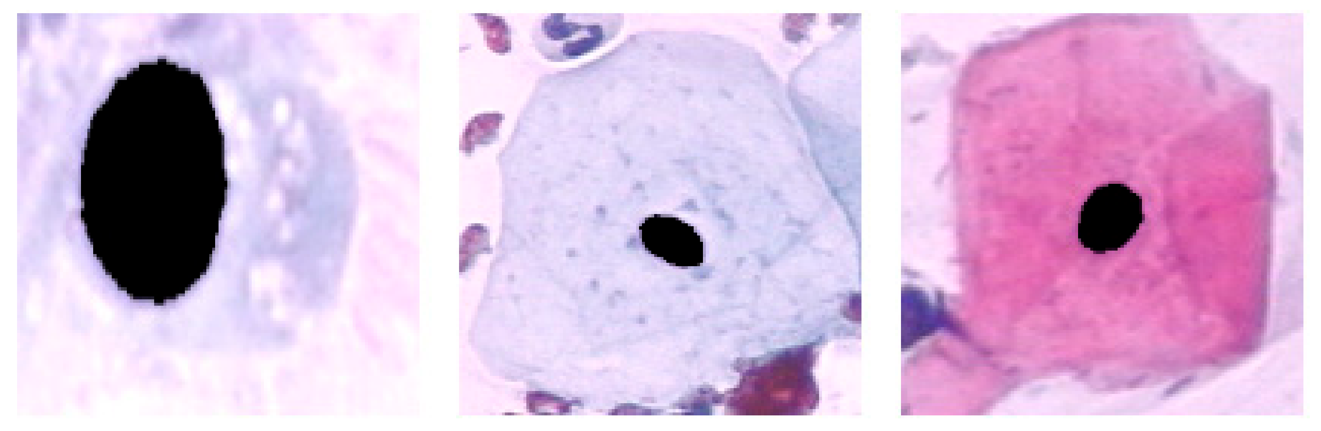 Diagnostics 13 02762 g004