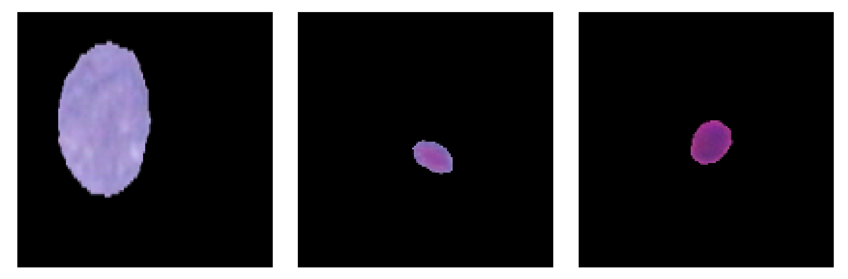 Diagnostics 13 02762 g005