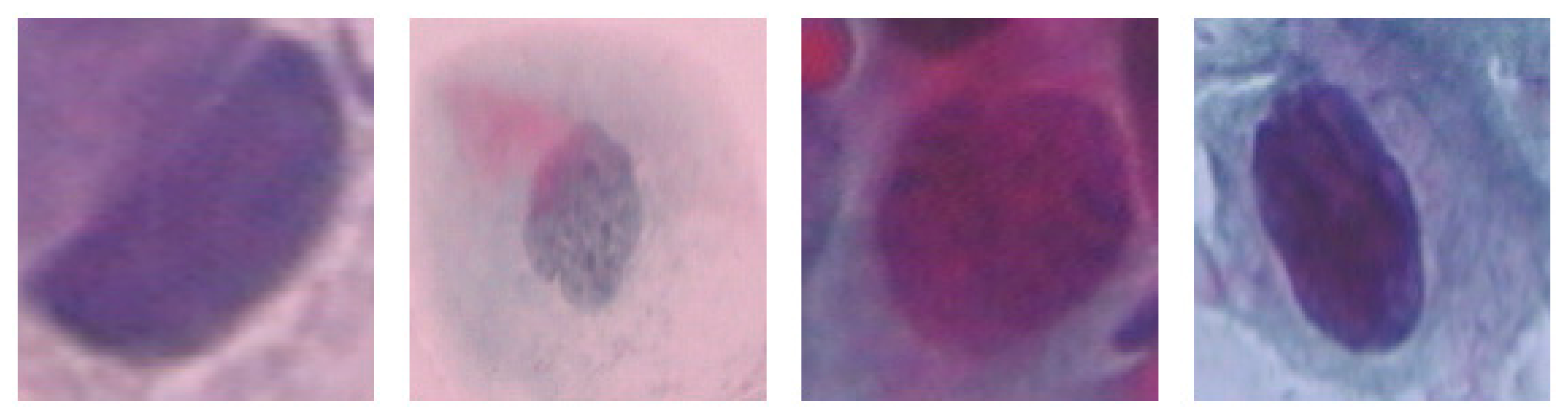 Diagnostics 13 02762 g006