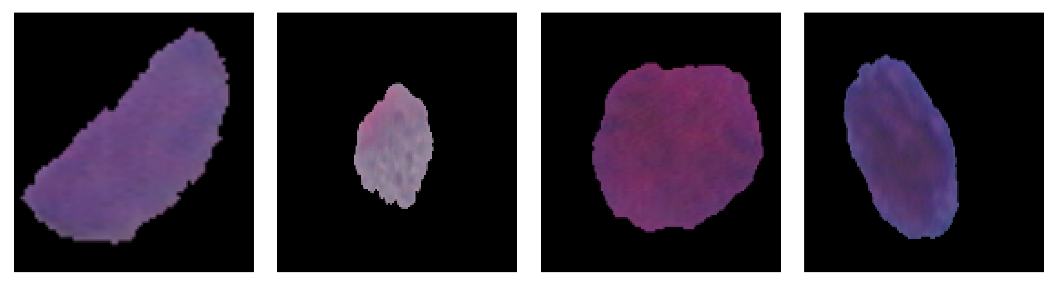 Diagnostics 13 02762 g008