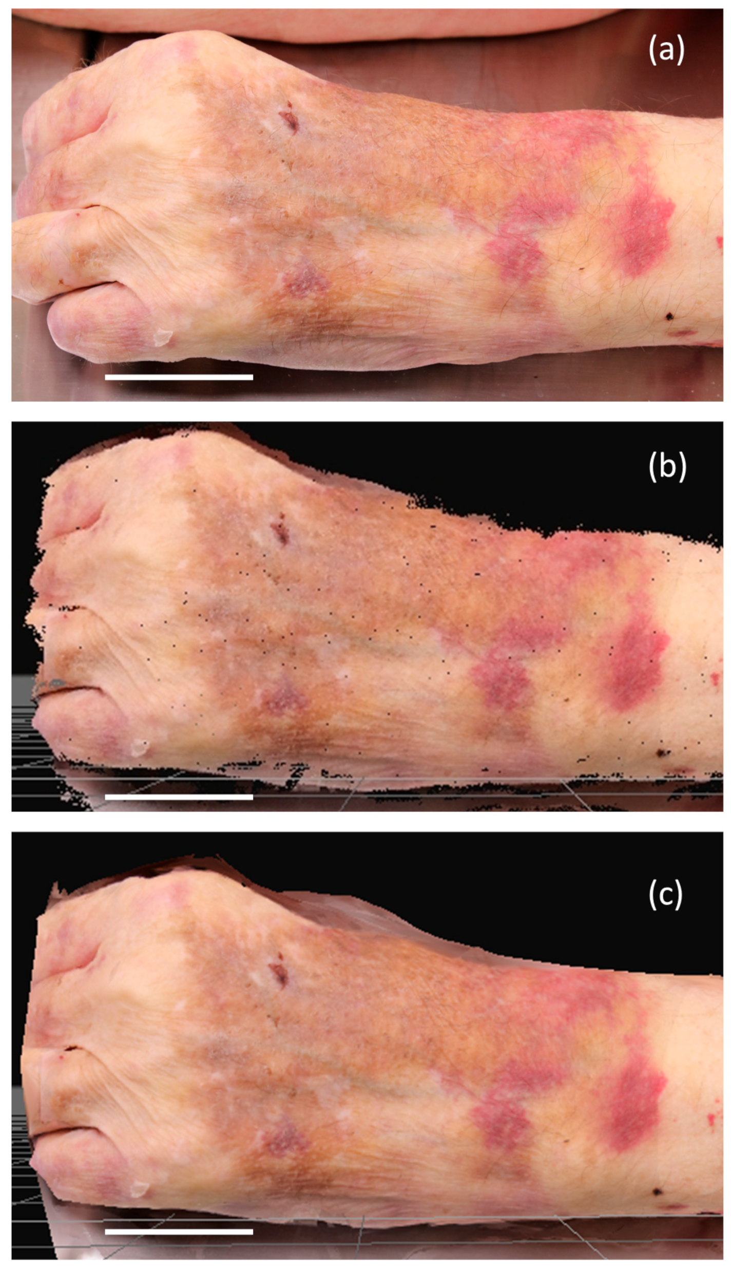 Diagnostics 13 02764 g002