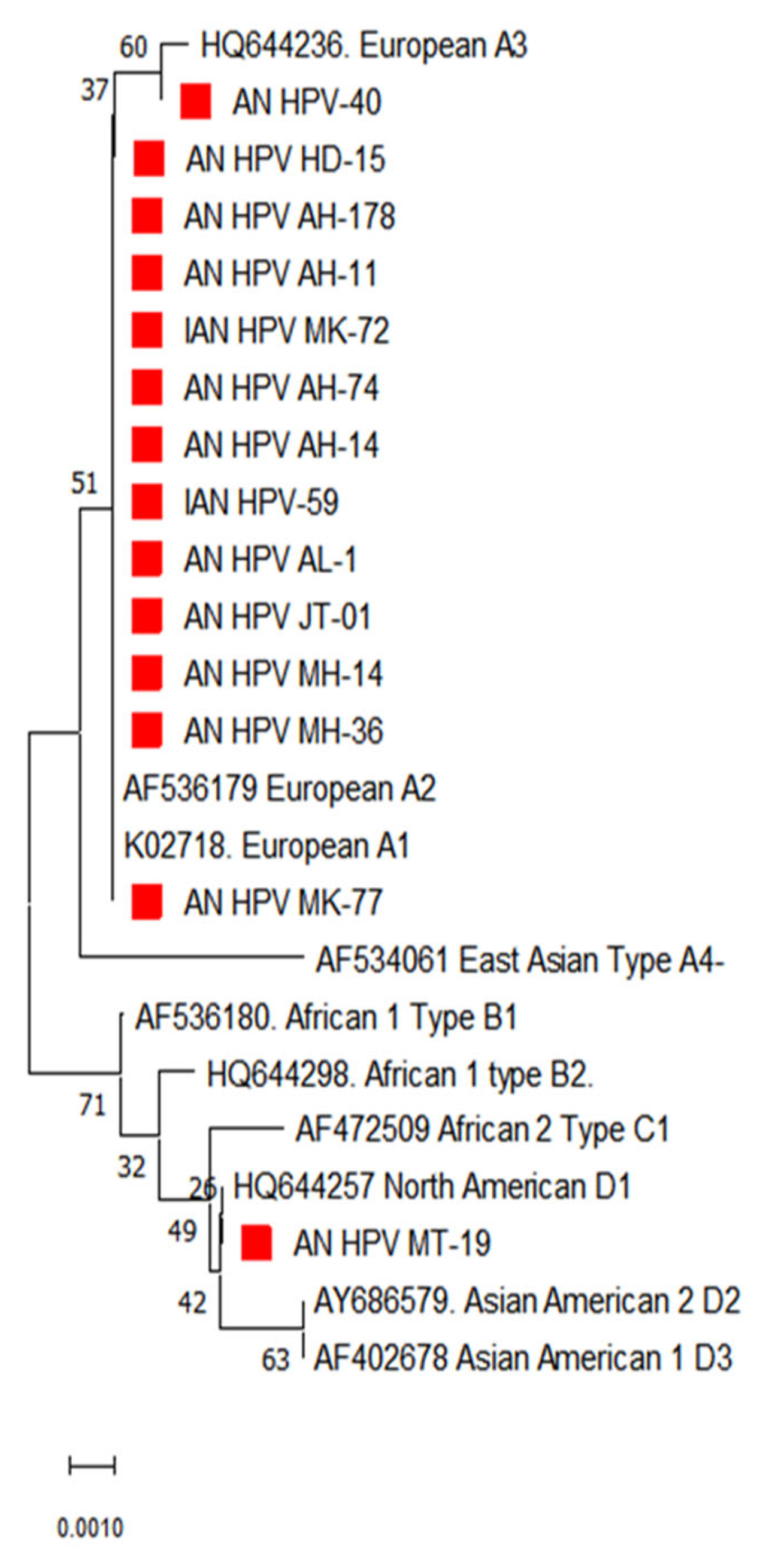 Diagnostics 13 02765 g003