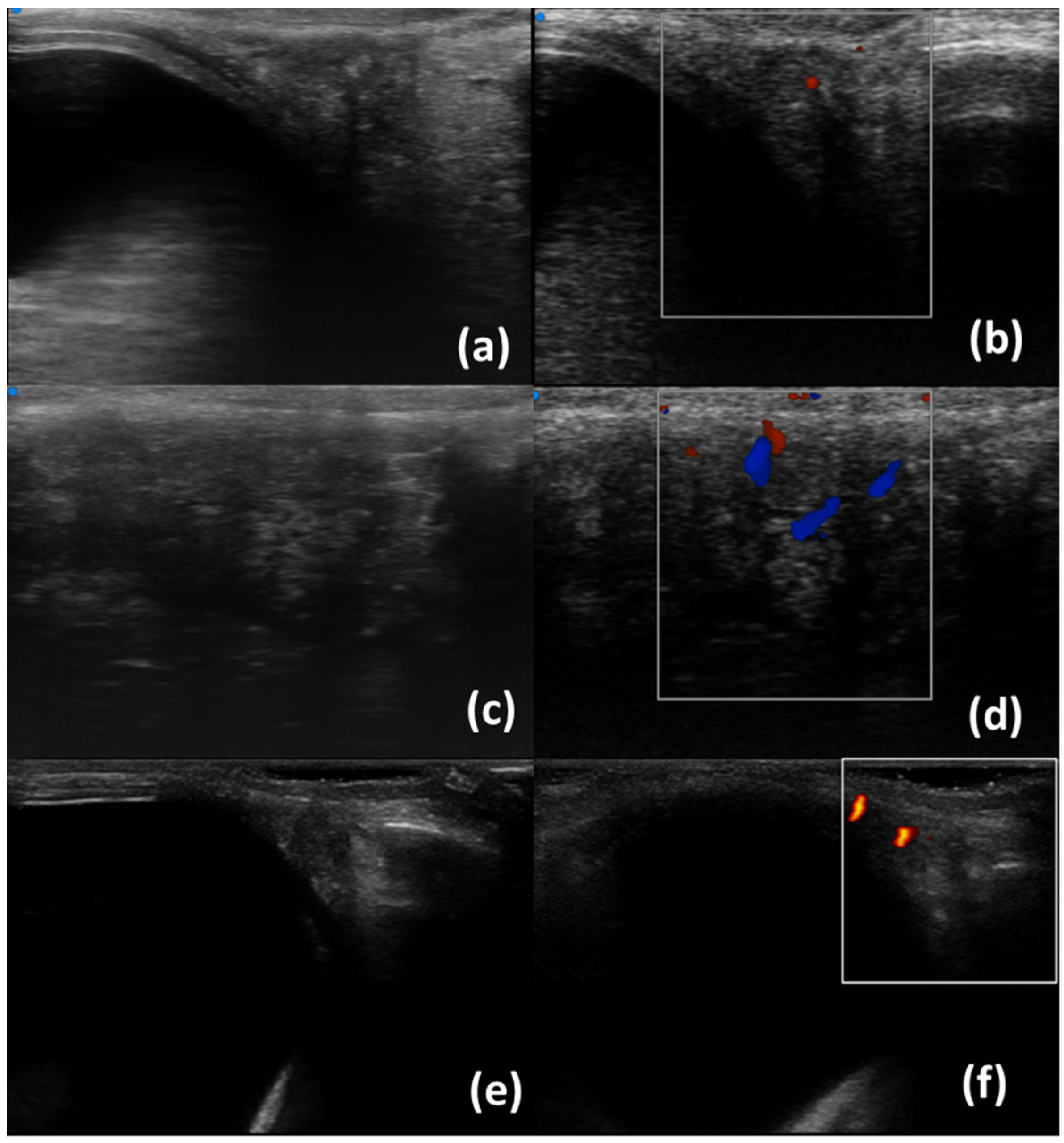 Diagnostics 13 02771 g002