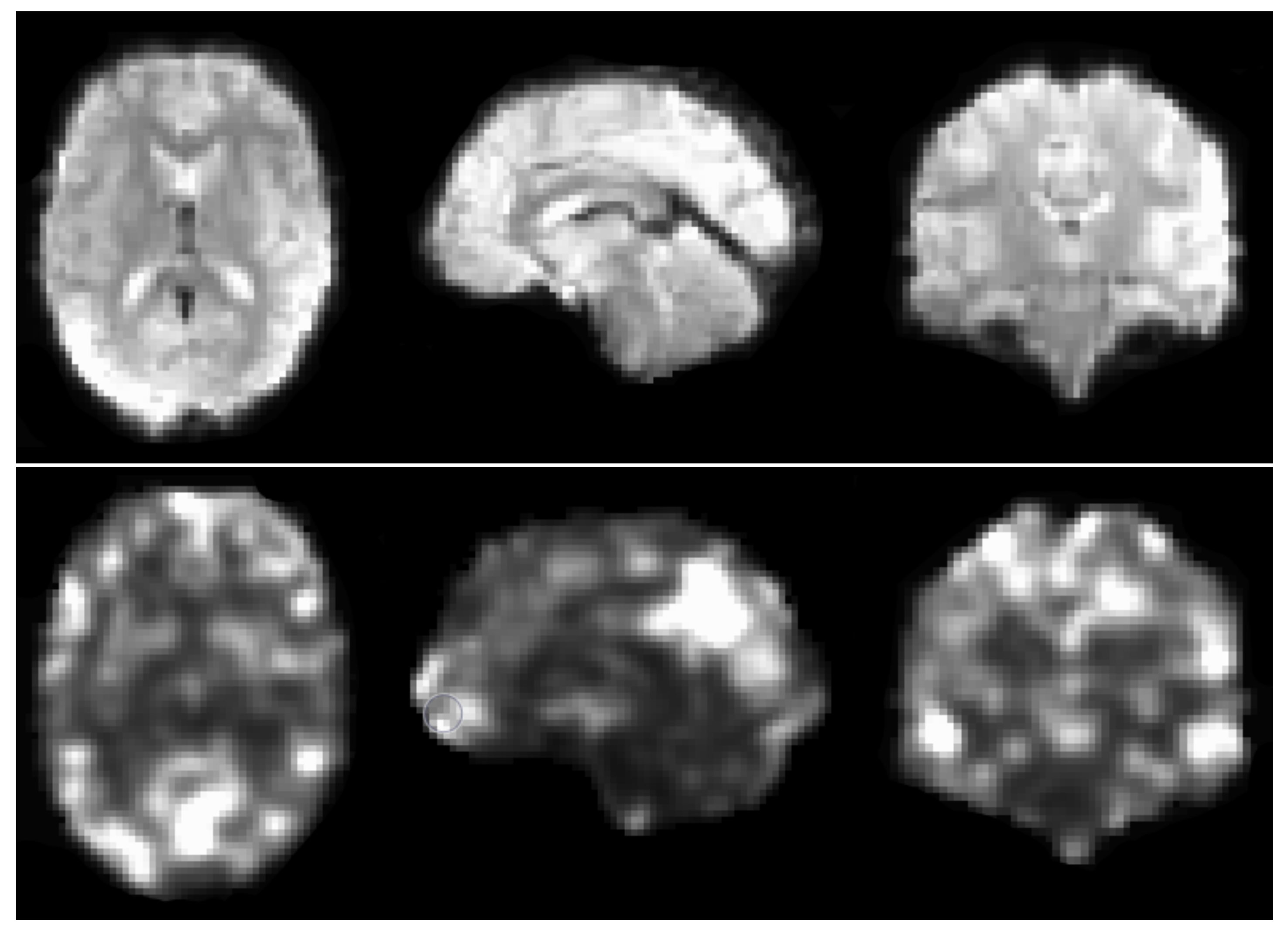 Diagnostics 13 02773 g001