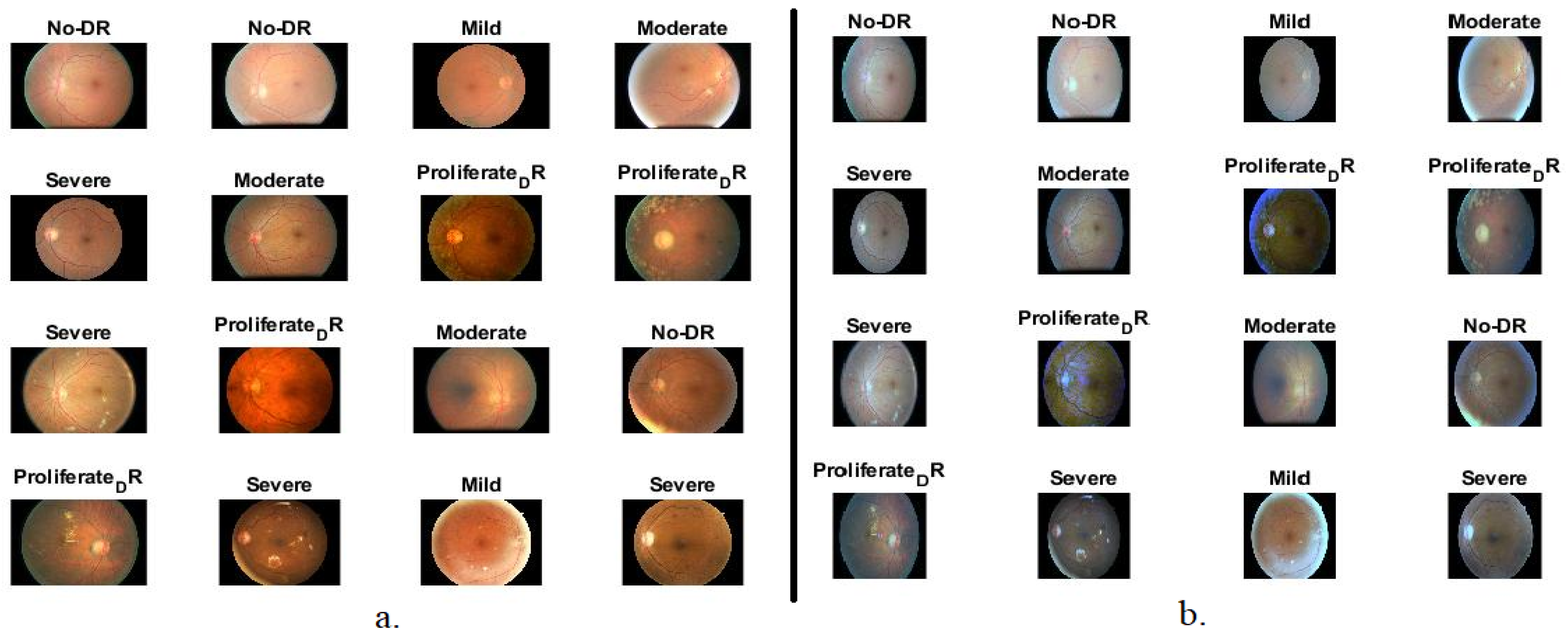 Diagnostics 13 02783 g003