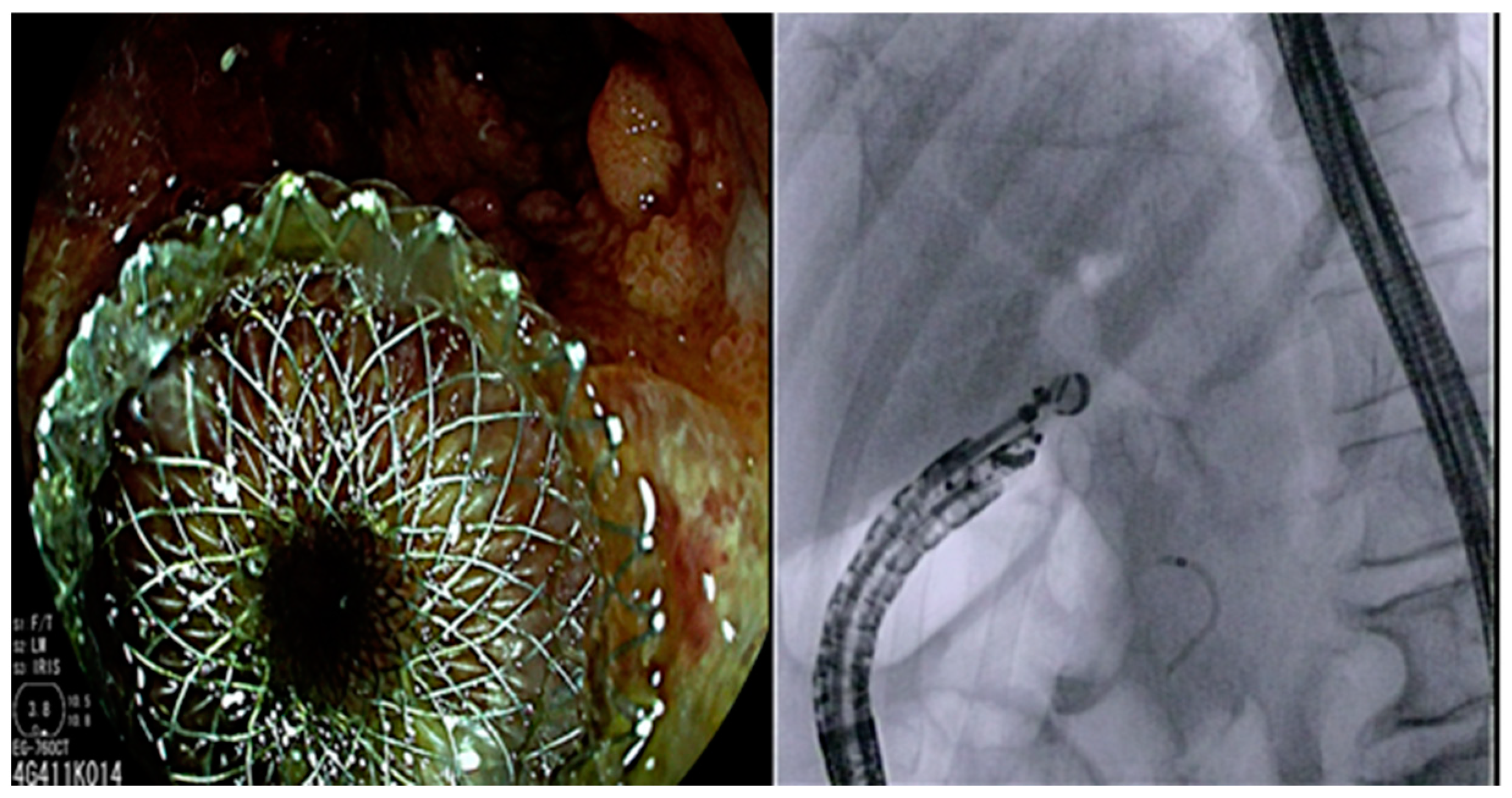 Diagnostics 13 02788 g001