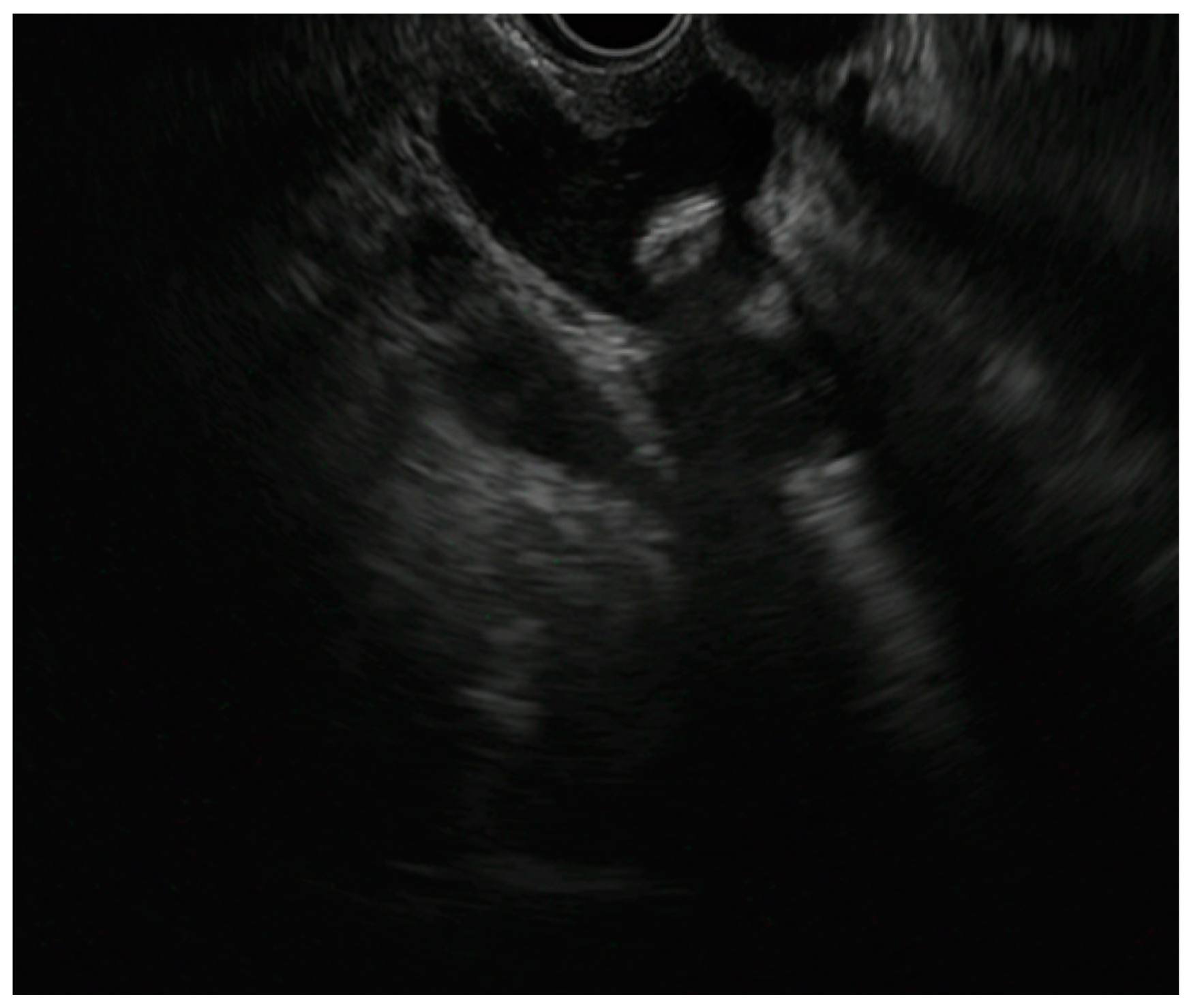 Diagnostics 13 02788 g002