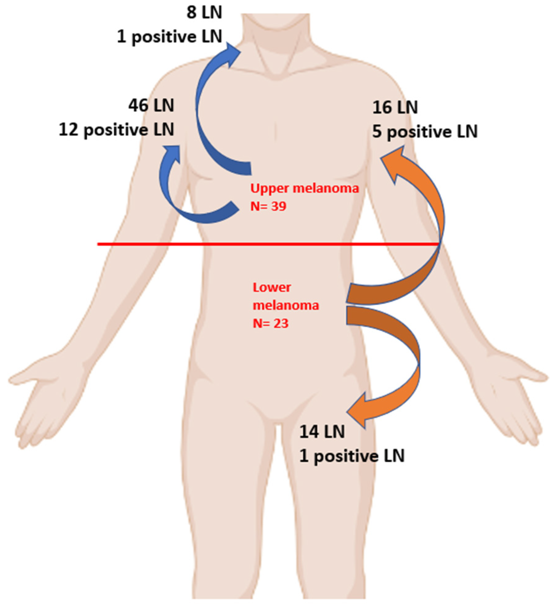 Diagnostics 13 02790 g001