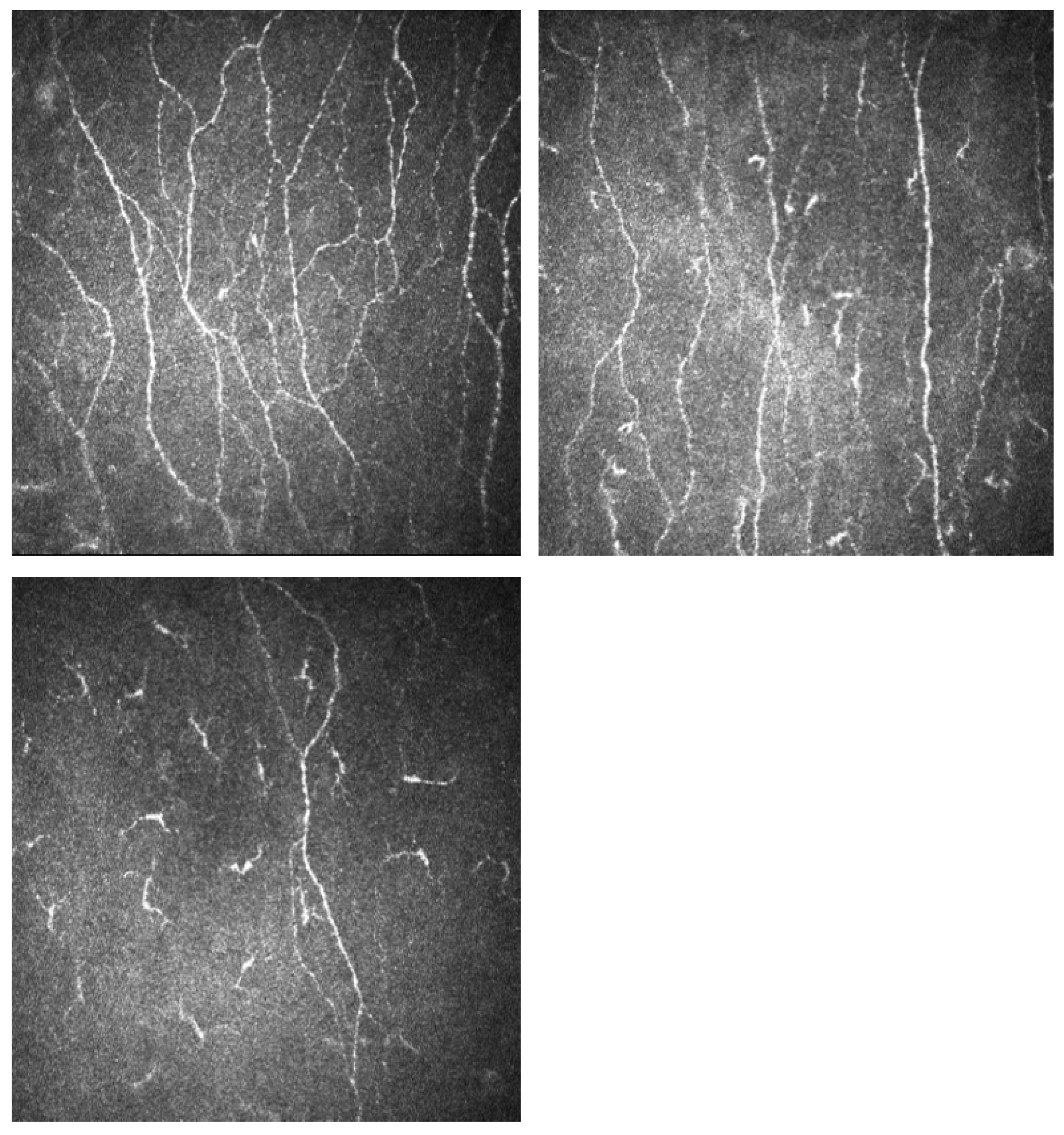 Diagnostics 13 02793 g001