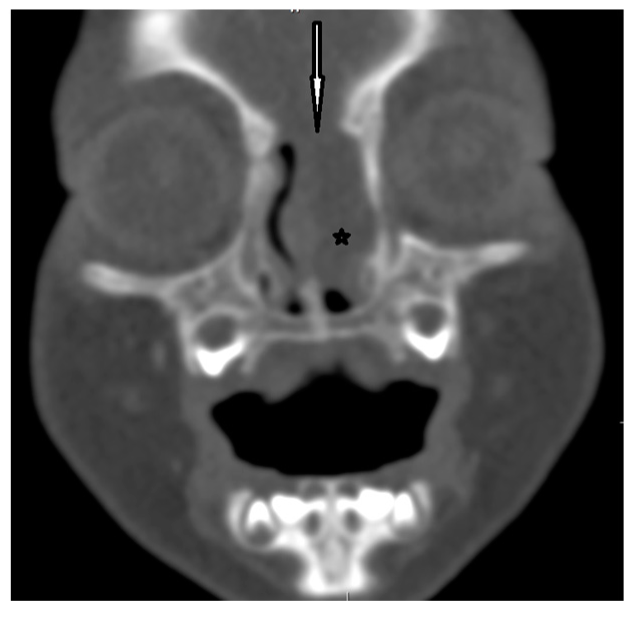 Diagnostics 13 02796 g007
