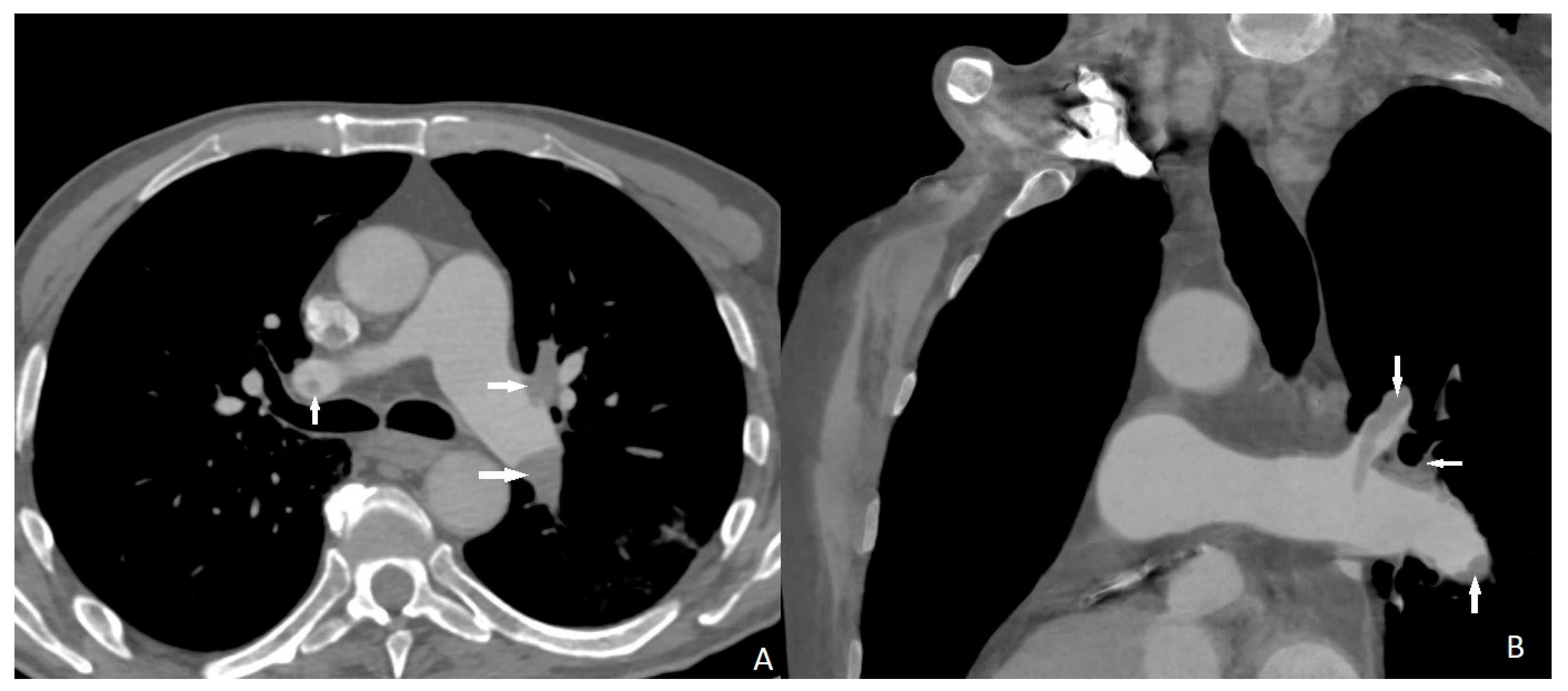 Diagnostics 13 02799 g001