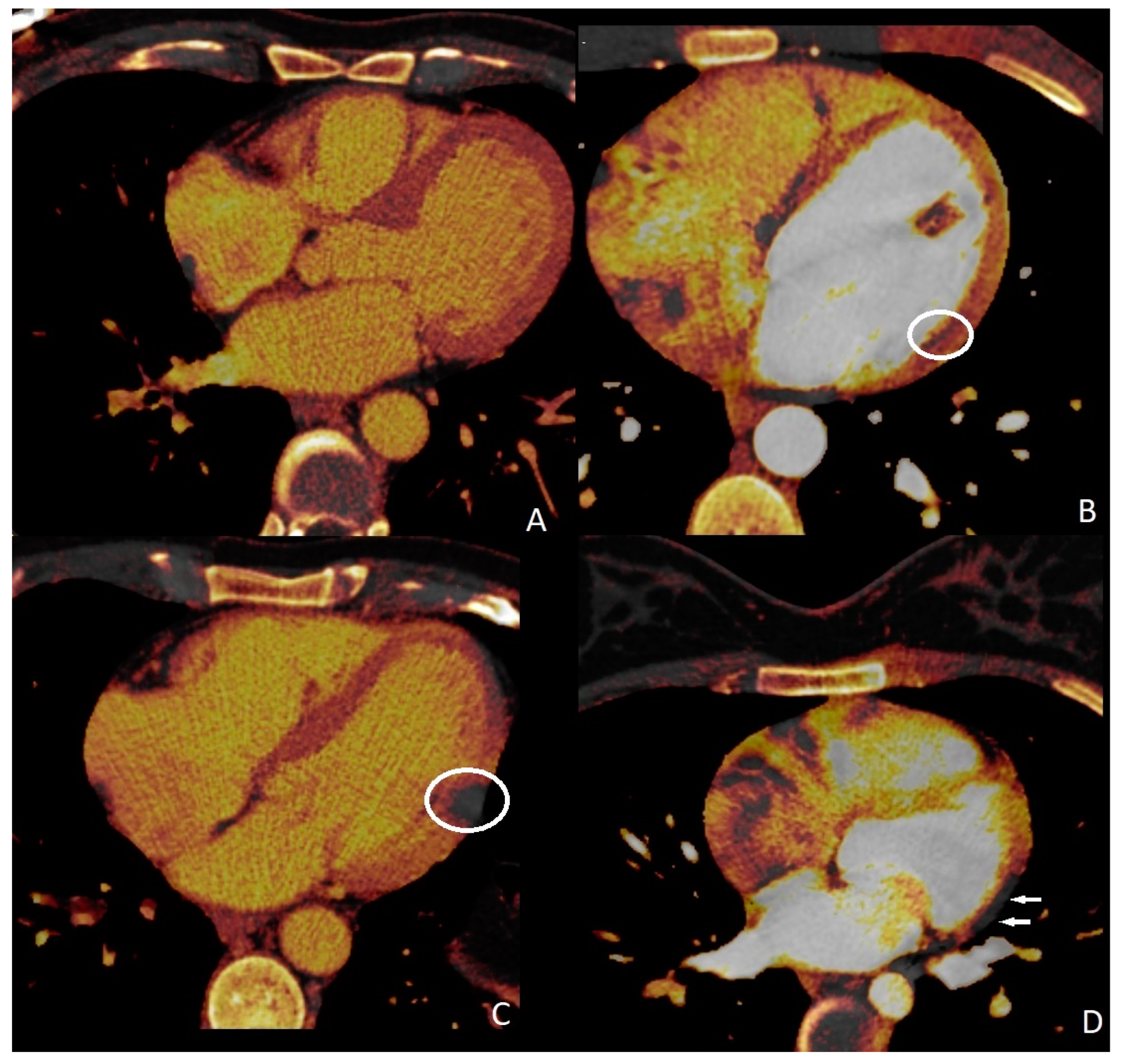 Diagnostics 13 02799 g003