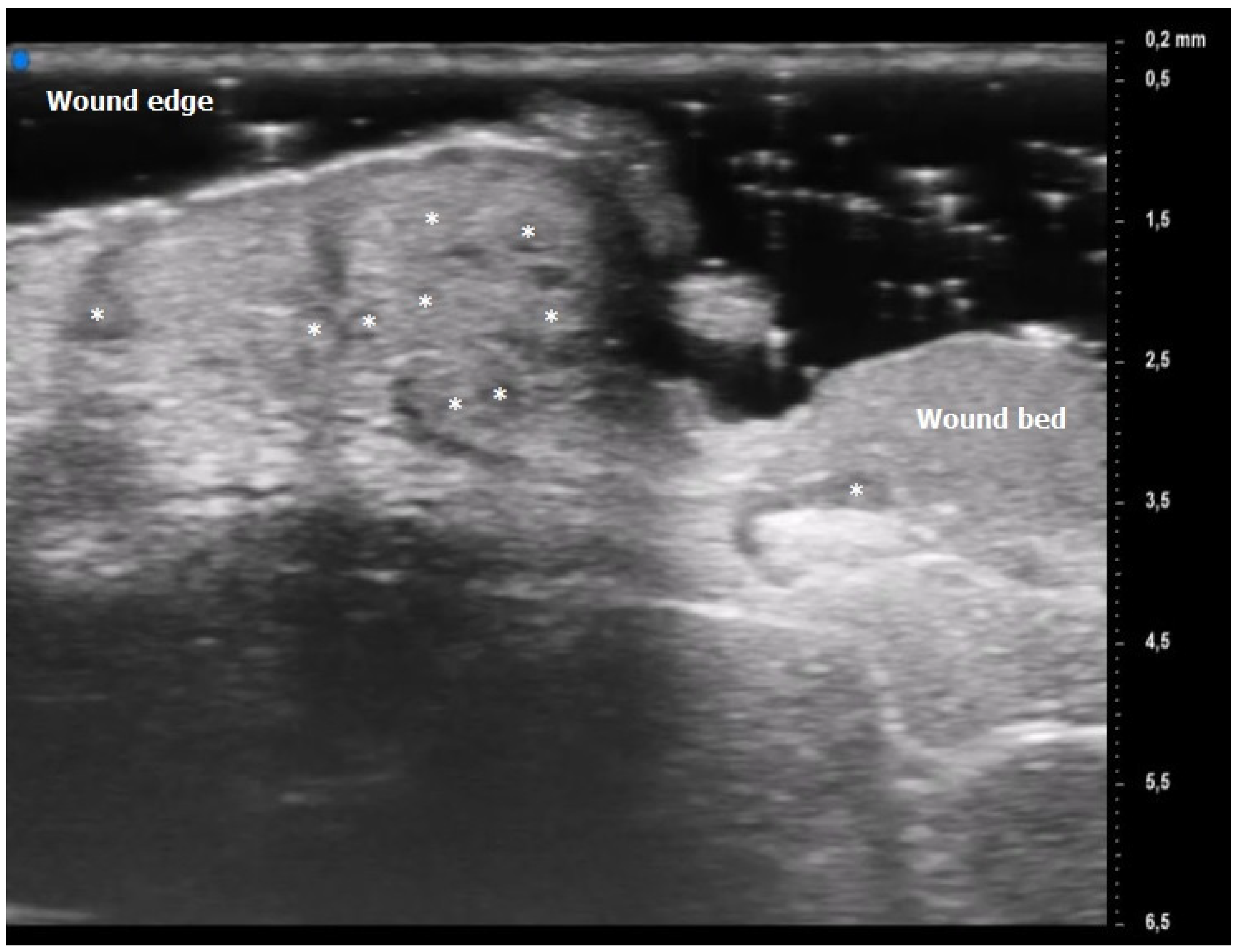 Diagnostics 13 02802 g002