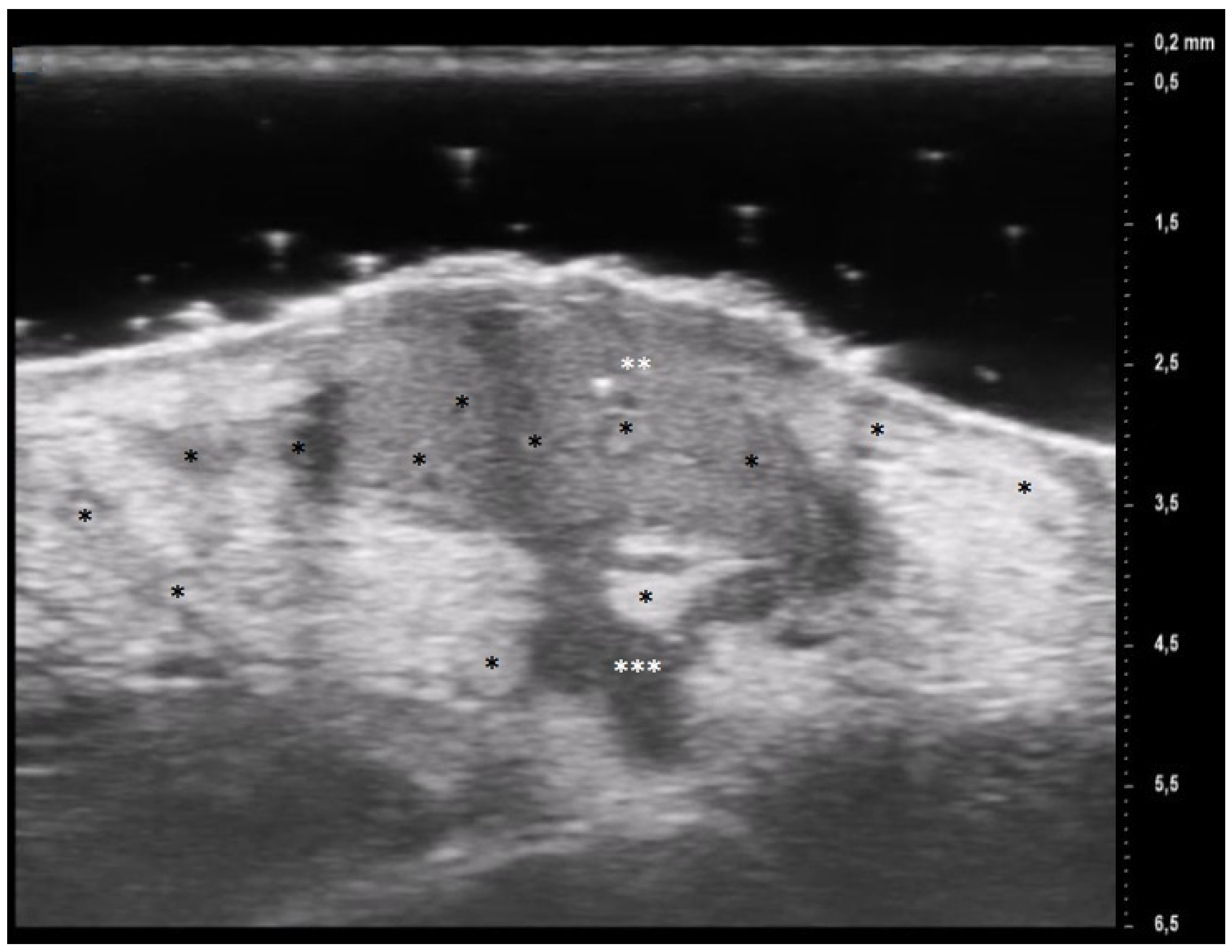 Diagnostics 13 02802 g003