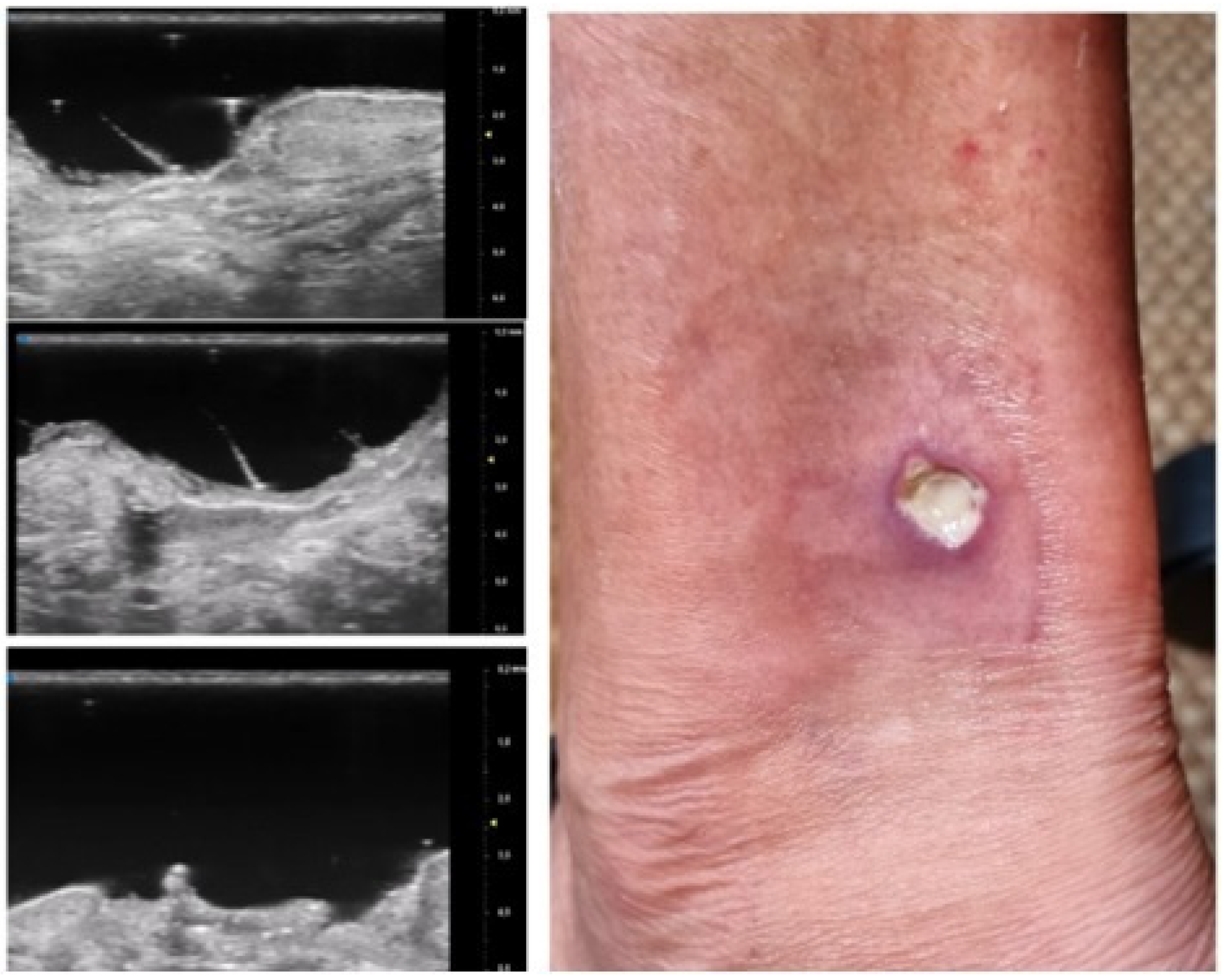 Diagnostics 13 02802 g005