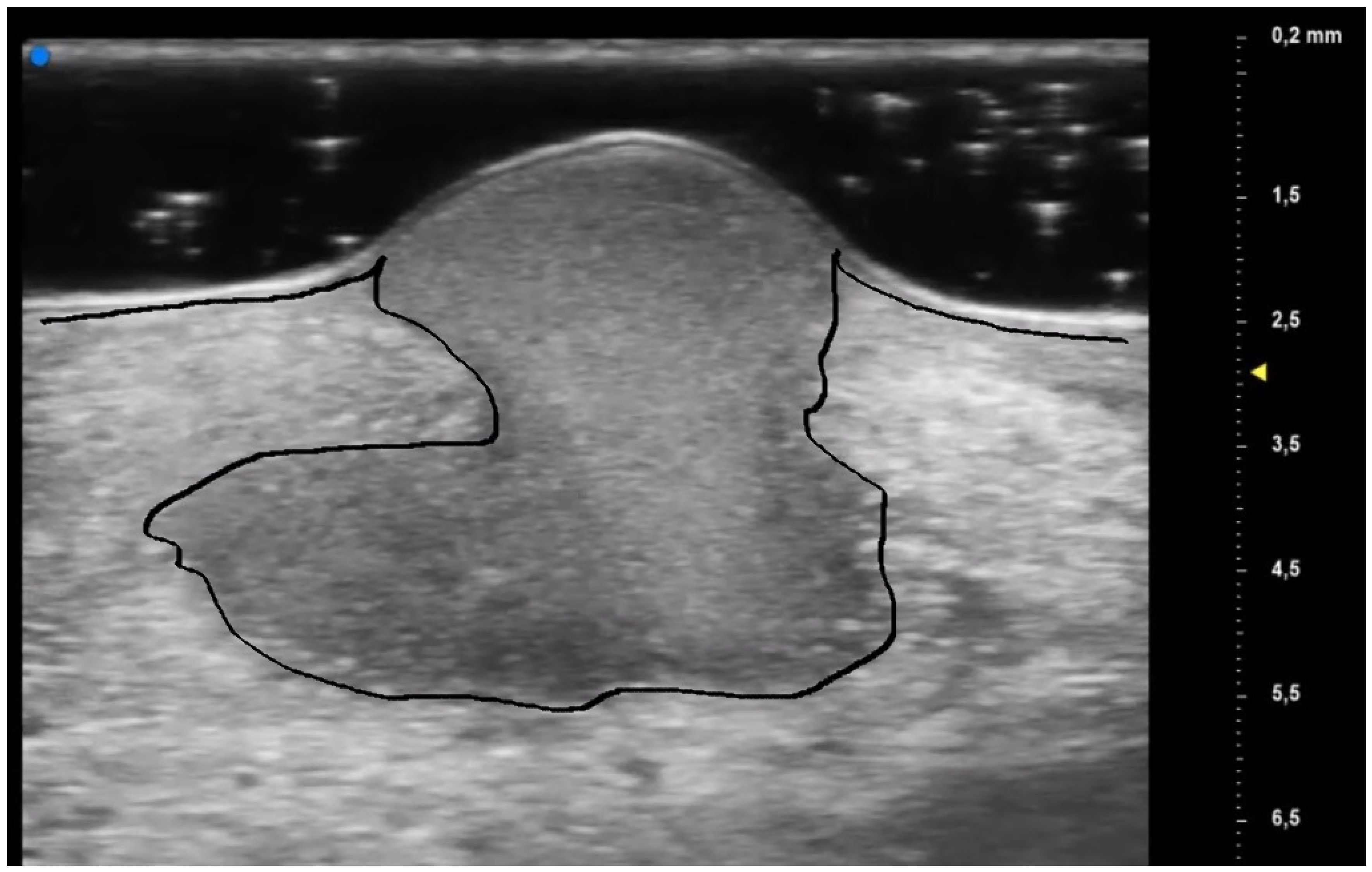 Diagnostics 13 02802 g006