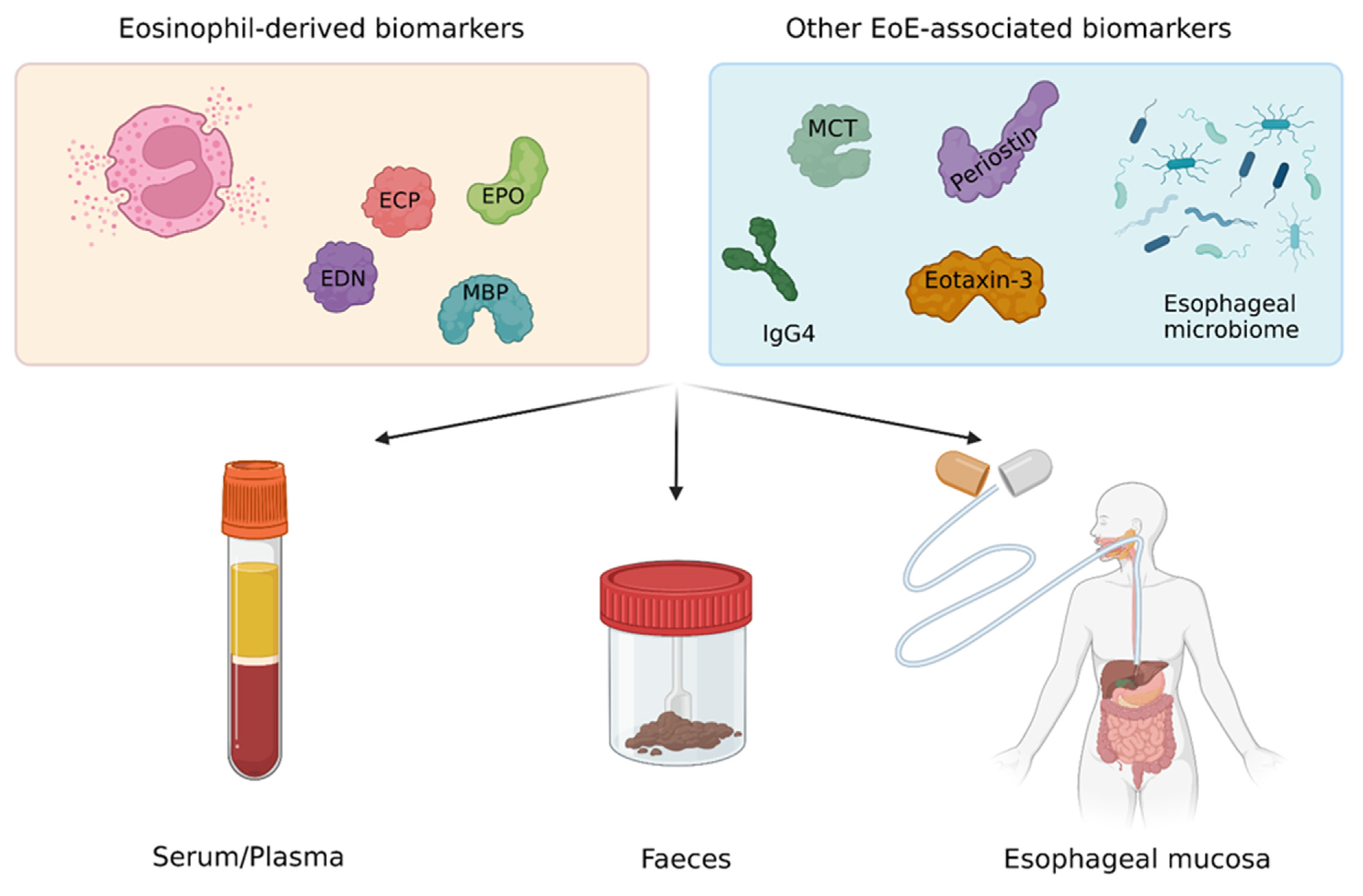 Diagnostics 13 02806 g001