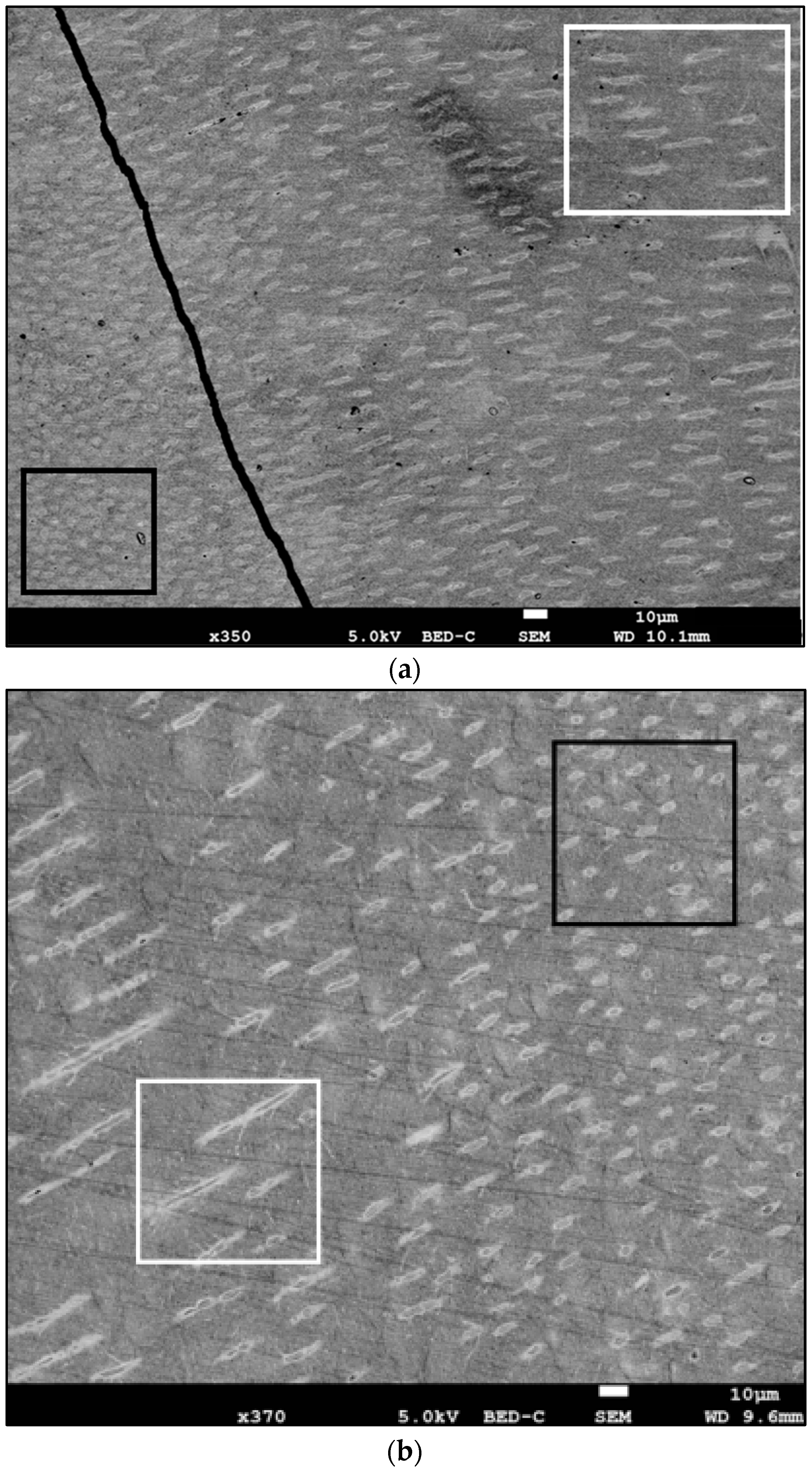 Diagnostics 13 02808 g001a