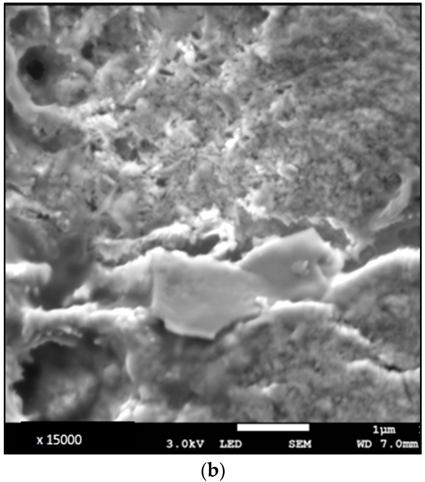 Diagnostics 13 02808 g002b