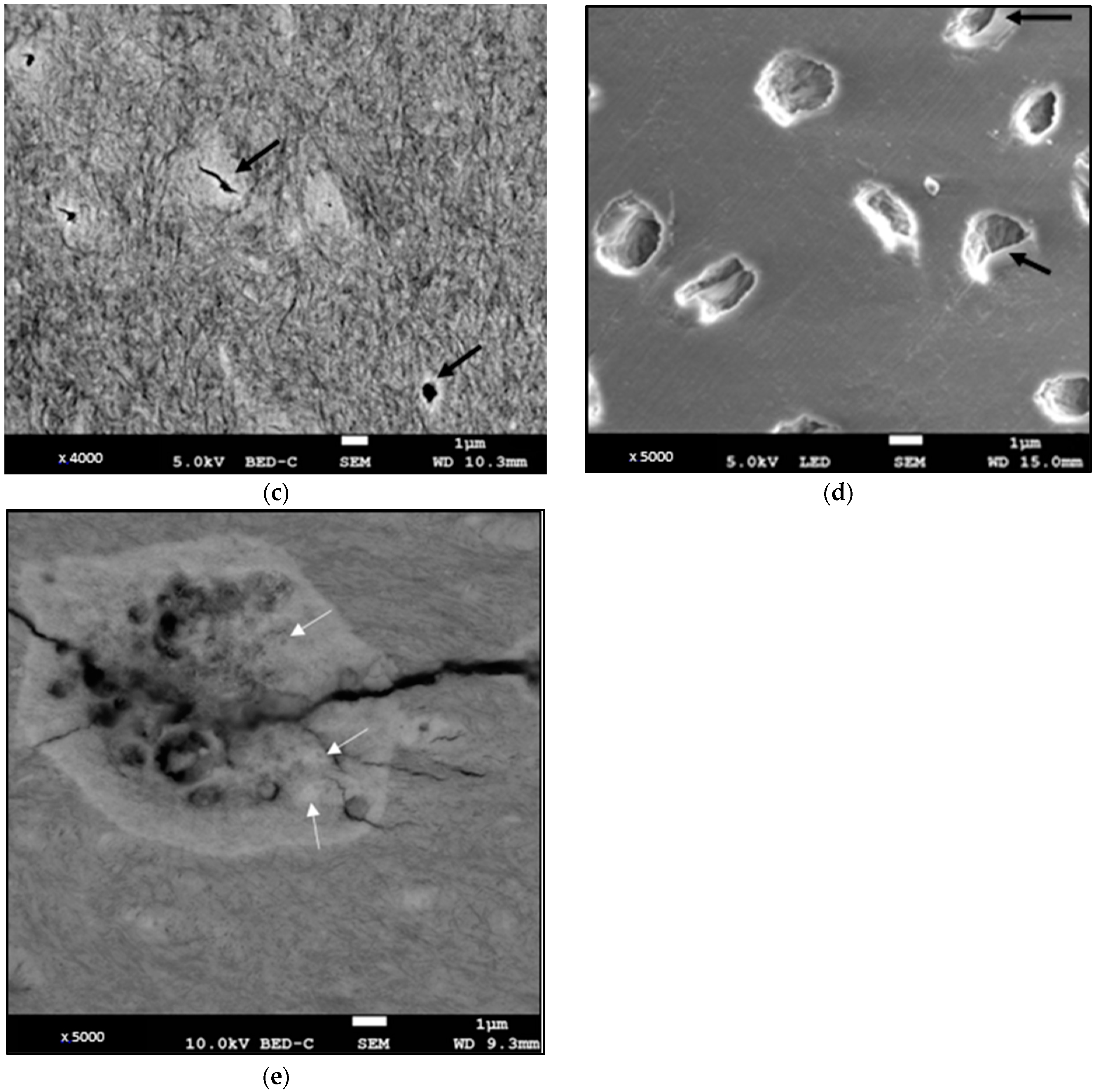 Diagnostics 13 02808 g003b