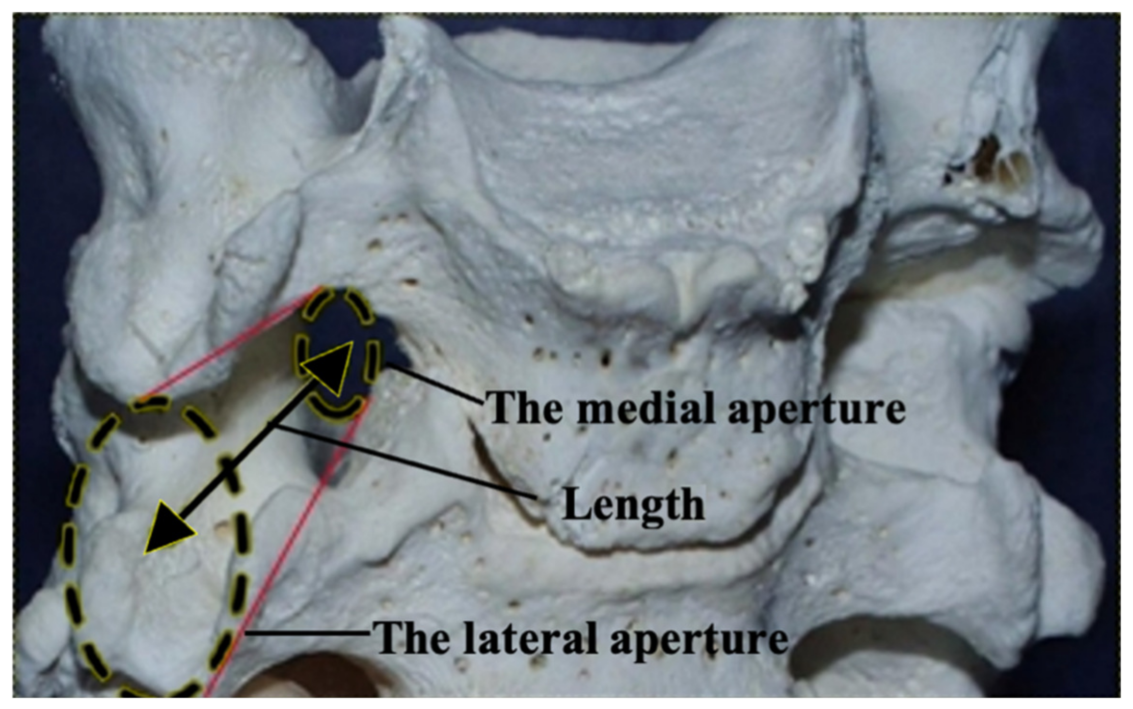 Diagnostics 13 02809 g001