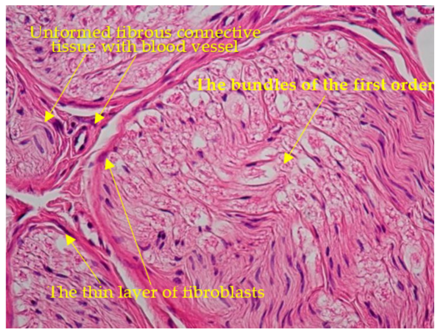 Diagnostics 13 02809 g004