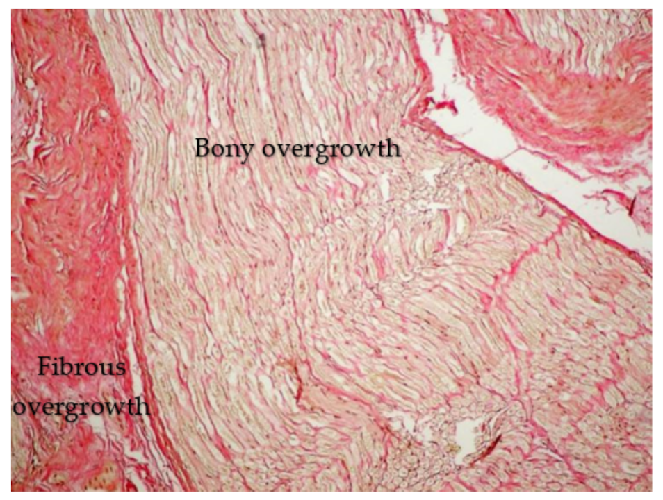 Diagnostics 13 02809 g005