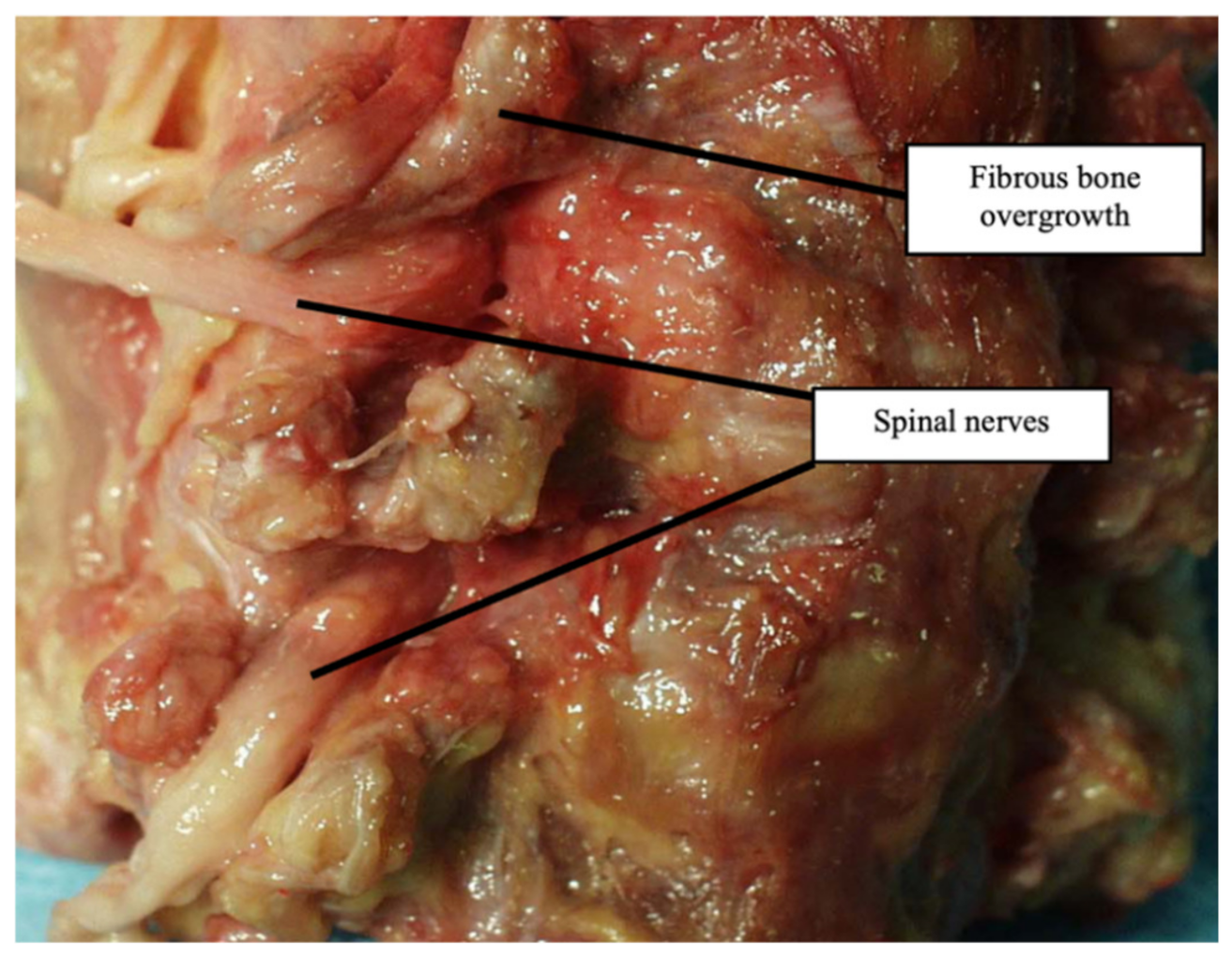 Diagnostics 13 02809 g006