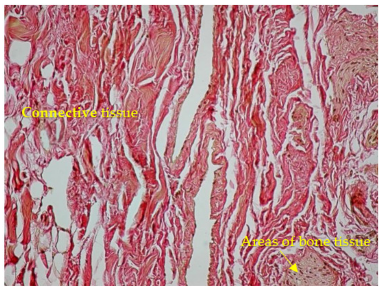 Diagnostics 13 02809 g007