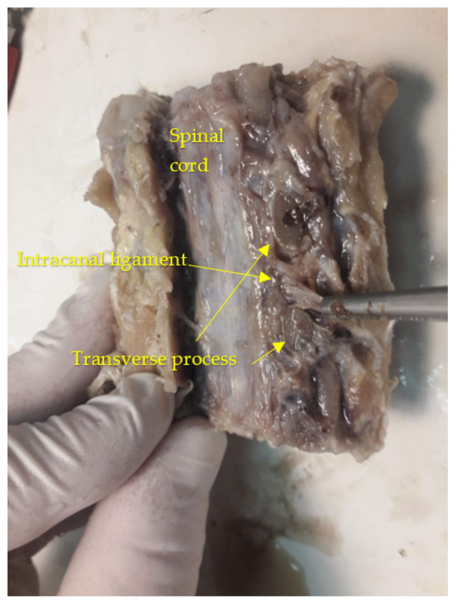 Diagnostics 13 02809 g008