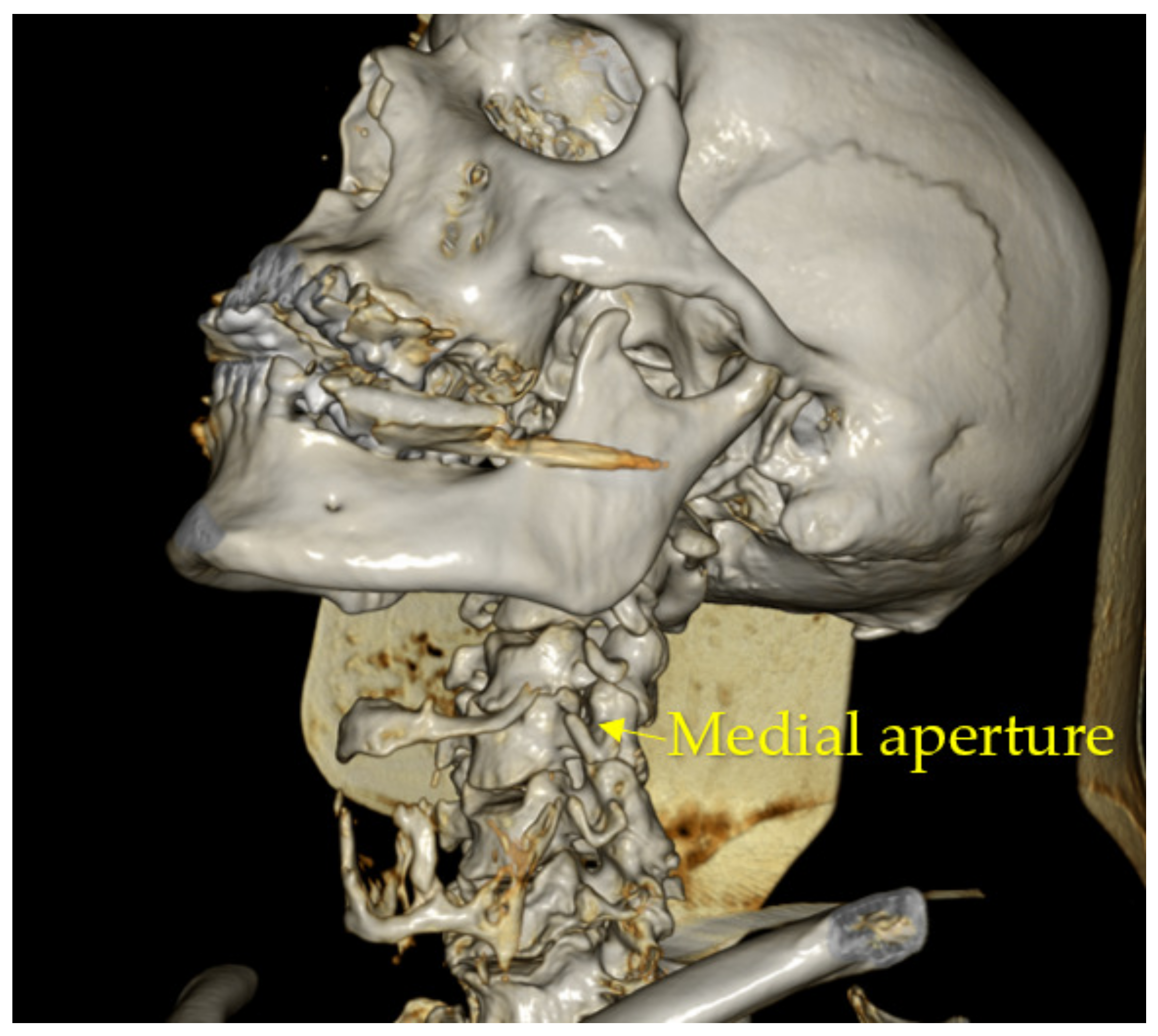Diagnostics 13 02809 g009